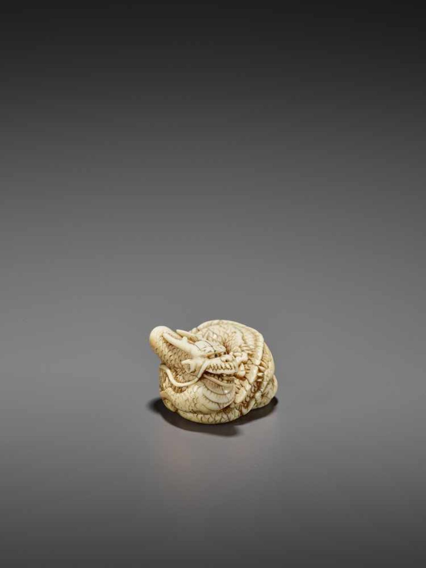A GOOD IVORY NETSUKE OF A COILED DRAGON UnsignedJapan, Kyoto, late 18th to early 19th century, Edo - Bild 8 aus 10