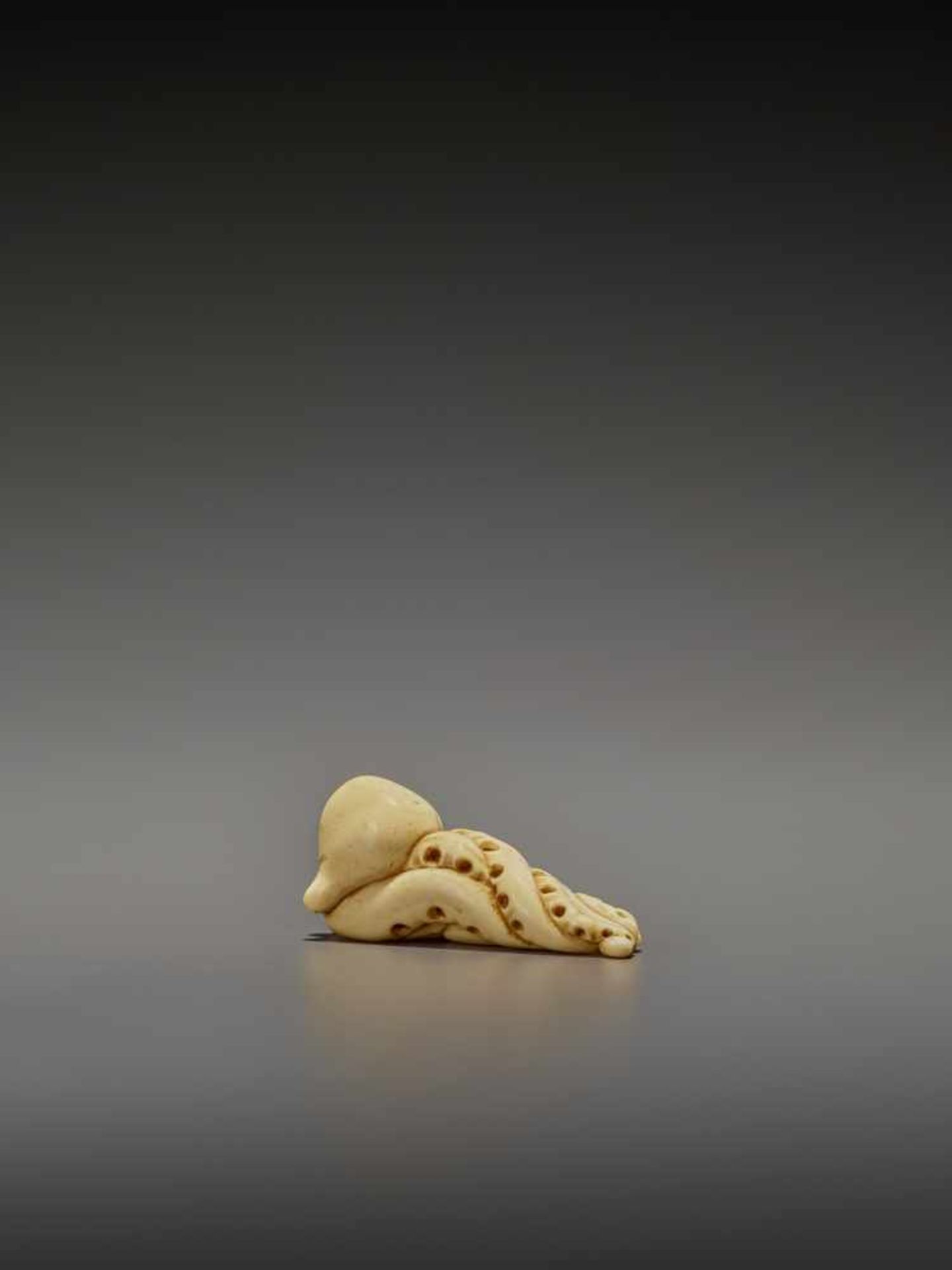 A RARE IVORY NETSUKE OF AN OCTOPUS UnsignedJapan, early 19th century, Edo period (1615-1868)The - Image 6 of 11