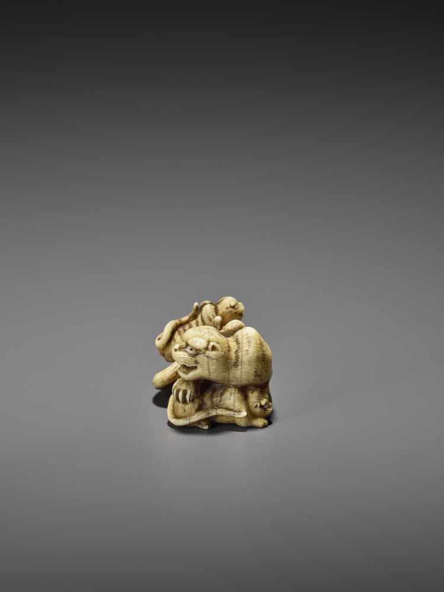 HAKURYU: AN EXCEPTIONAL IVORY NETSUKE OF A TIGER WITH TWO CUBS By Unsho Hakuryu II, signed - Bild 4 aus 12