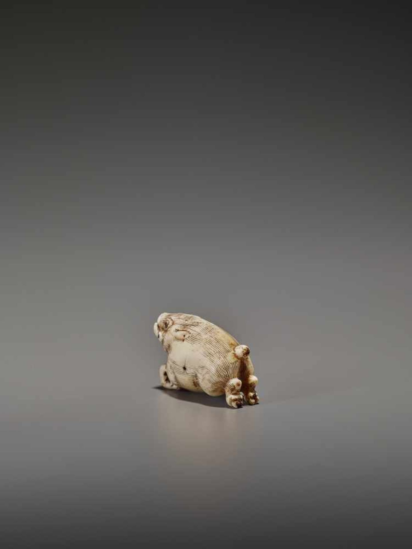 AN UNUSUAL IVORY NETSUKE OF A RUNNING BOAR UnsignedJapan, 18th century, Edo period (1615-1868)A very - Bild 4 aus 11