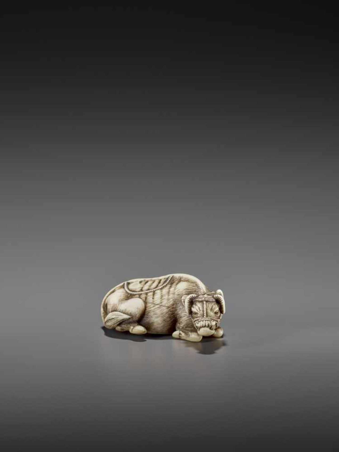 MASANAO: AN EXCELLENT IVORY NETSUKE OF A RECUMBENT COW By Masanao of Kyoto, signed MasanaoJapan, - Bild 8 aus 12