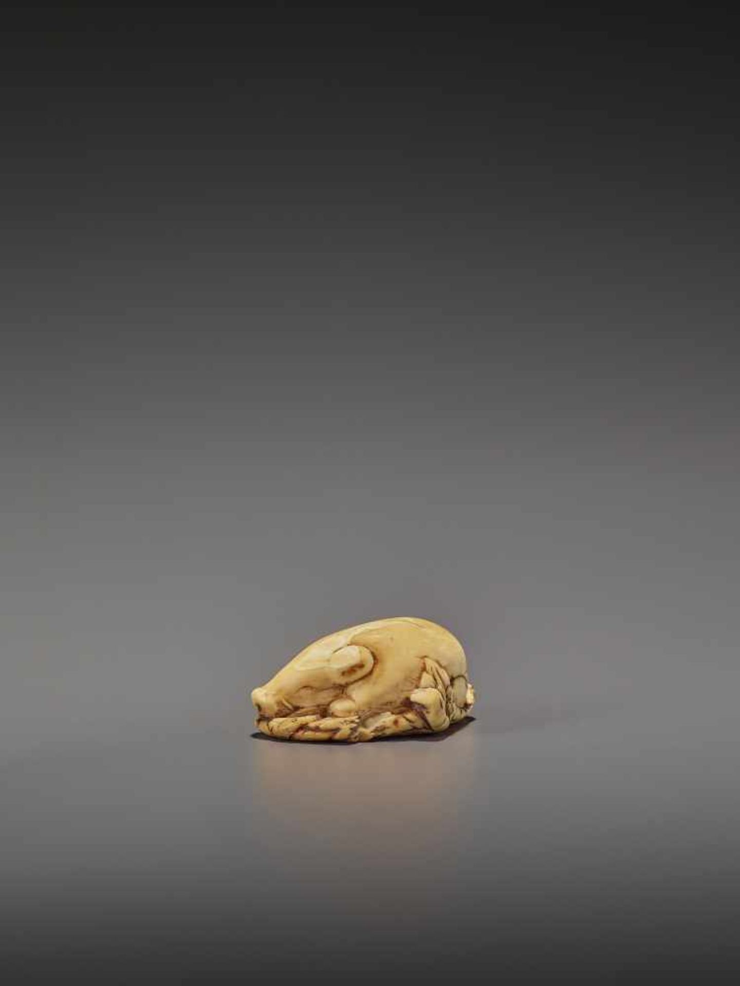 A FINE IVORY NETSUKE OF TWO RESTING BOARS UnsignedJapan, Kyoto, 18th century, Edo period (1615- - Bild 6 aus 9