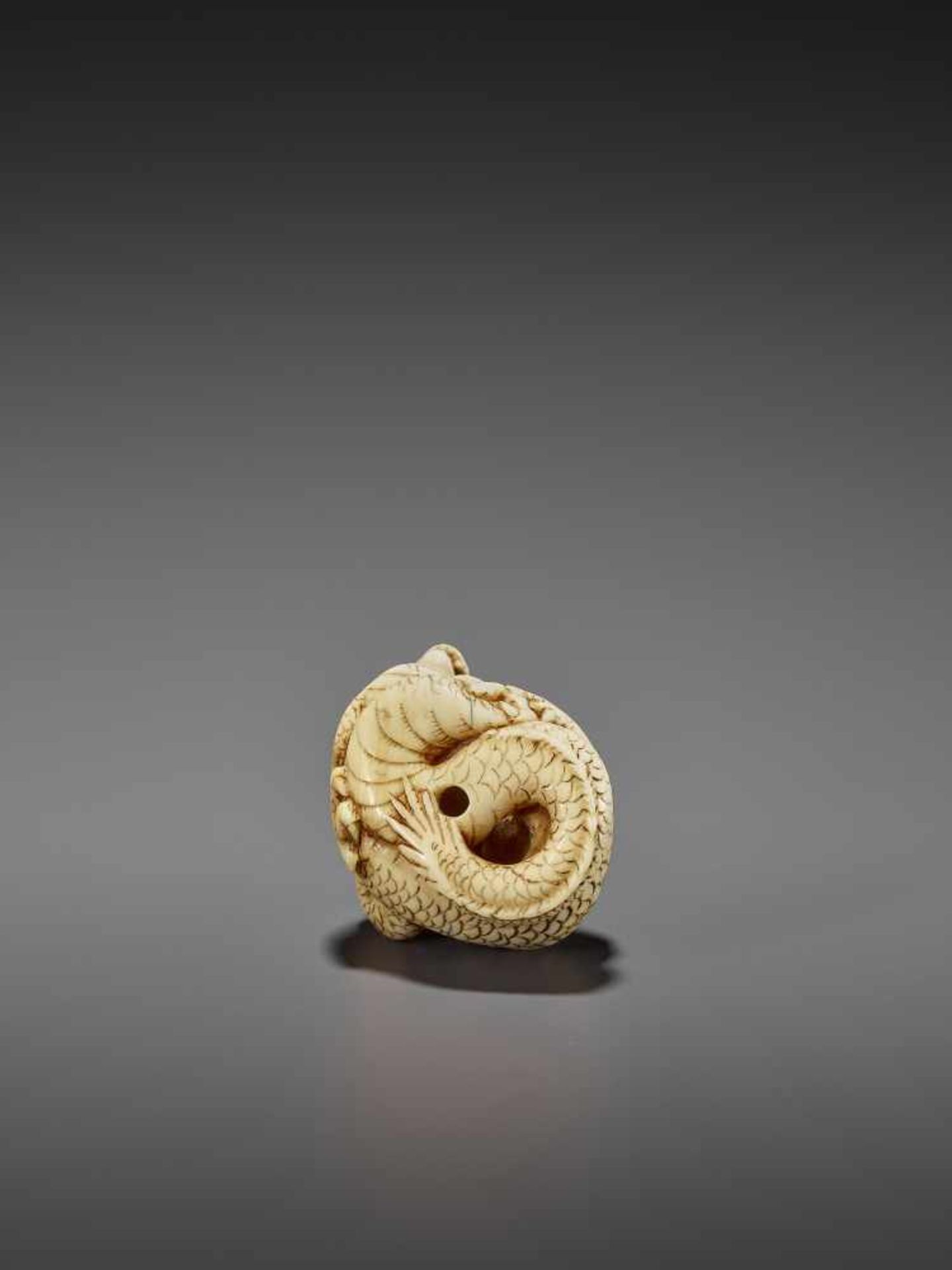 A GOOD IVORY NETSUKE OF A COILED DRAGON UnsignedJapan, Kyoto, late 18th to early 19th century, Edo - Bild 10 aus 10