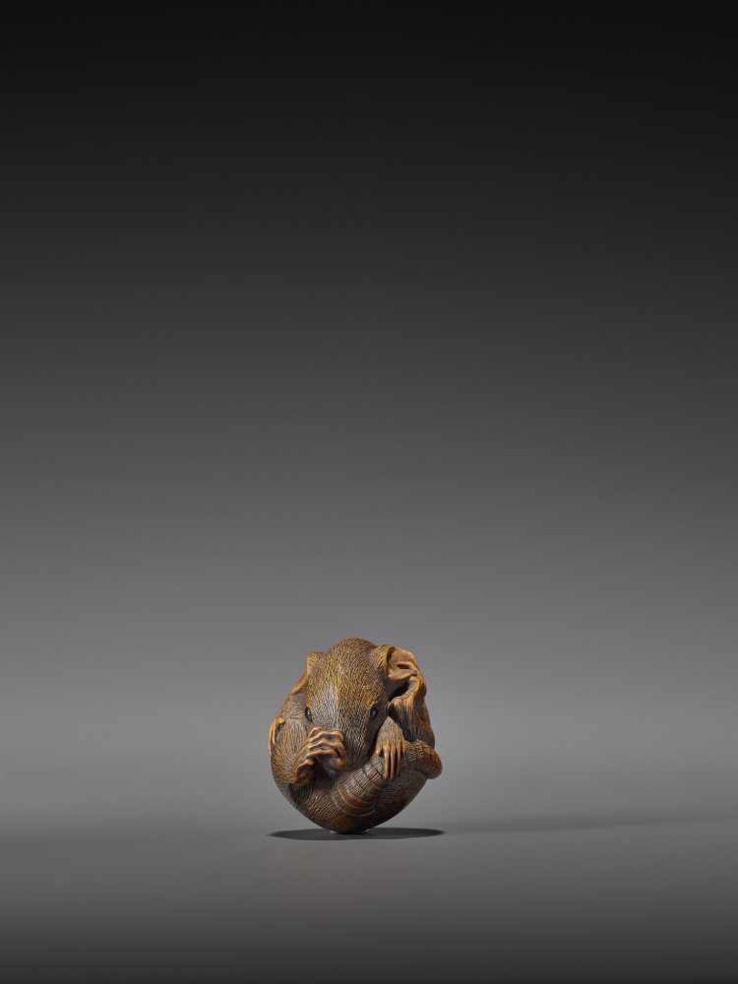 MASAKATSU: A FINE WOOD NETSUKE OF A COILED RAT By Masakatsu, signed MasakatsuJapan, Yamada, Ise - Bild 3 aus 10