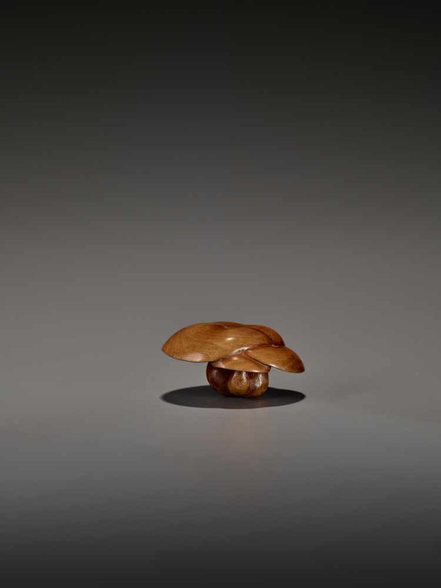 A FINE WOOD NETSUKE OF THREE MUSHROOMS UnsignedJapan, probably Nagoya, early 19th century, Edo - Image 3 of 7