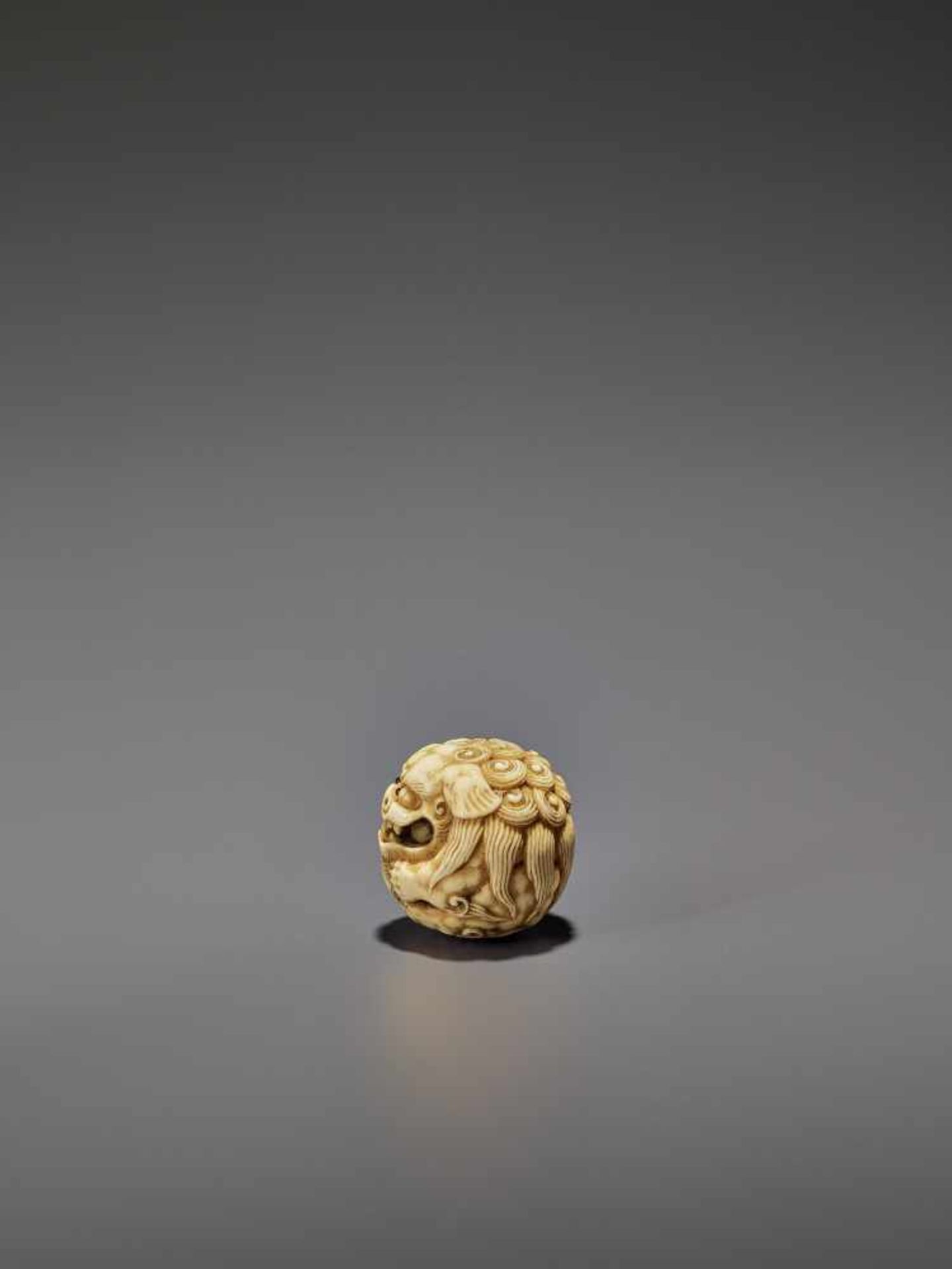 AN IVORY NETSUKE OF A SHISHI ROLLED INTO A BALL UnsignedJapan, 19th century, Edo period (1615-1868) - Bild 6 aus 9