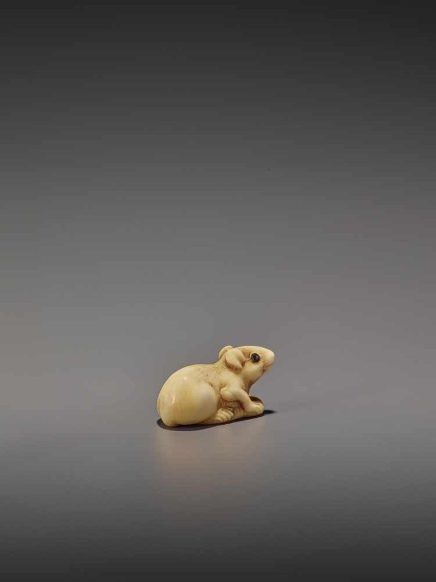 A CHARMING MARINE IVORY NETSUKE OF A RAT HOLDING ITS TAIL UnsignedJapan, 19th century, Edo period ( - Bild 6 aus 10