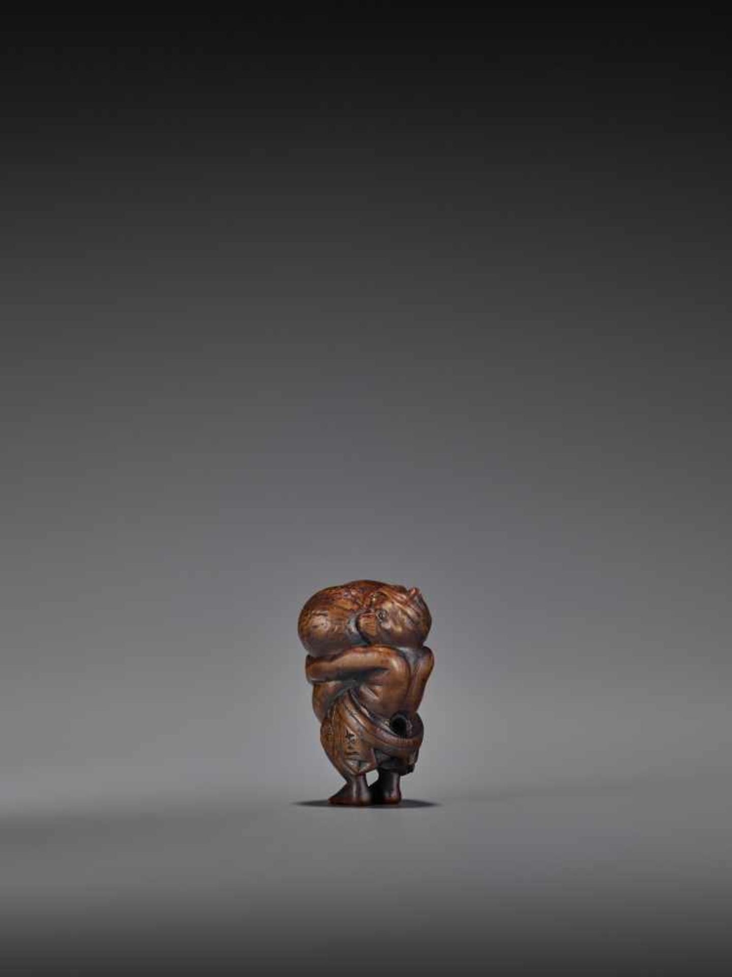 TOMOMASA: AN AMUSING WOOD NETSUKE OF A TANUKI WITH GIANT SCROTUM By Tomomasa, signed - Image 2 of 8