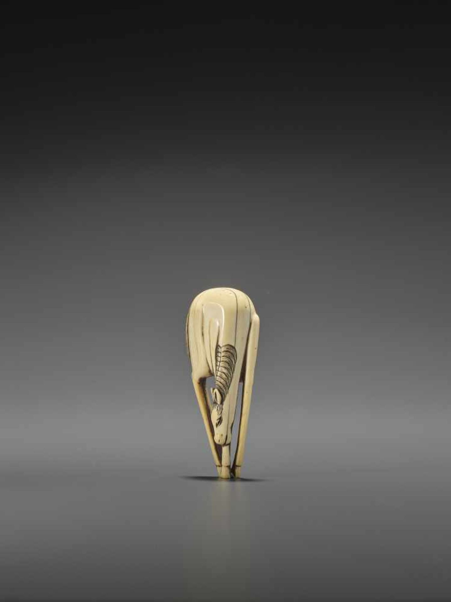 A LARGE AND RARE IVORY NETSUKE OF A GRAZING HORSE UnsignedJapan, 18th century, Edo period (1615- - Image 3 of 8