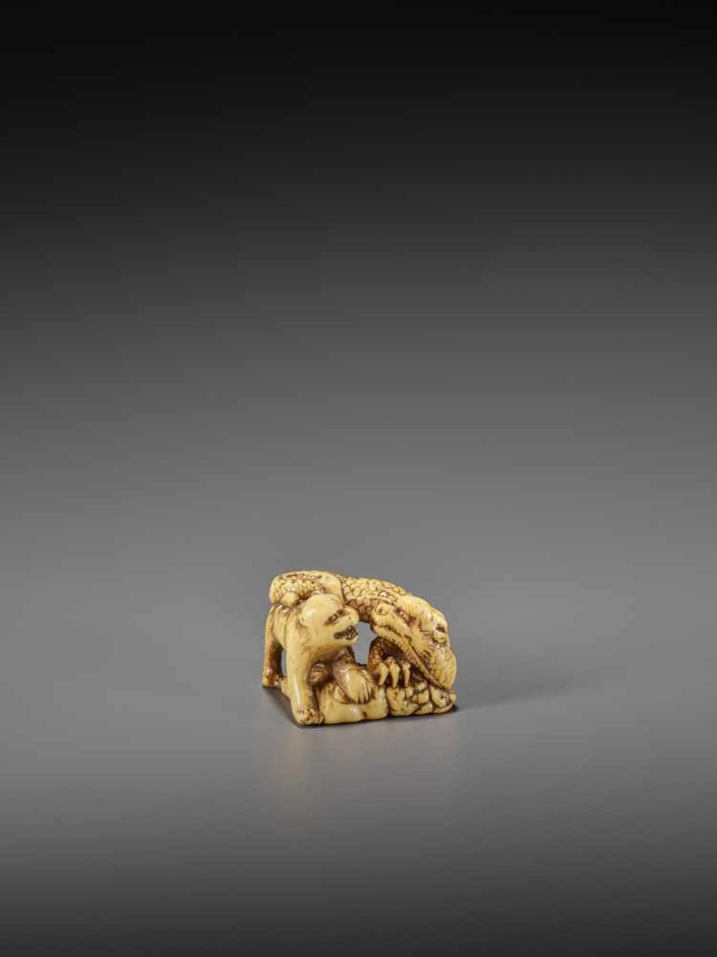 MINSEI: A POWERFUL IVORY NETSUKE OF A CONFRONTING DRAGON AND TIGER By Minsei, signed MinseiJapan,