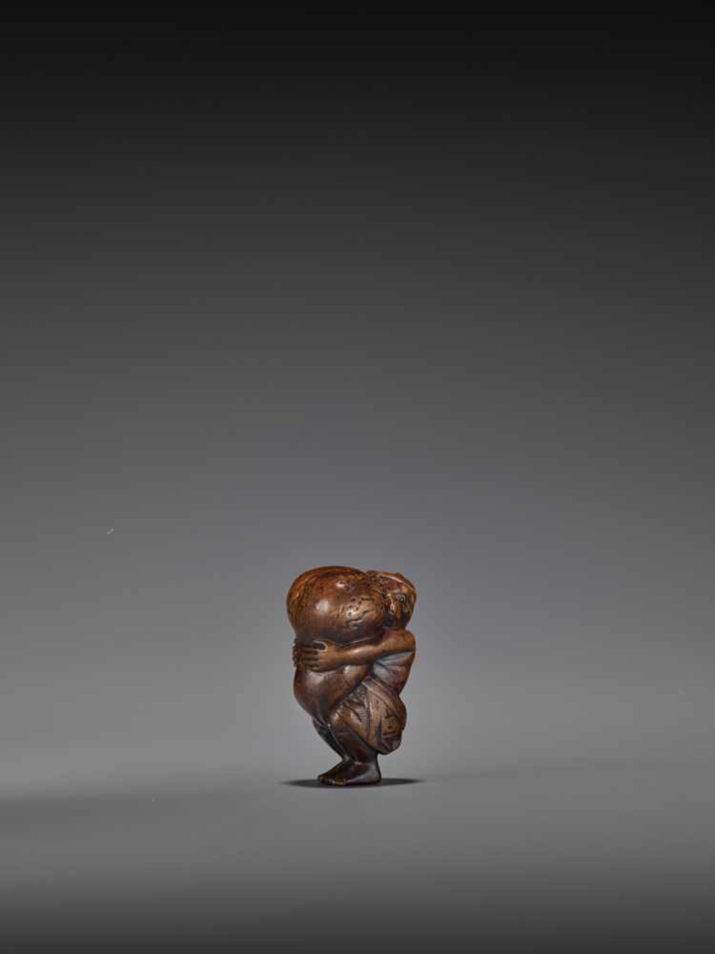 TOMOMASA: AN AMUSING WOOD NETSUKE OF A TANUKI WITH GIANT SCROTUM By Tomomasa, signed - Image 6 of 8