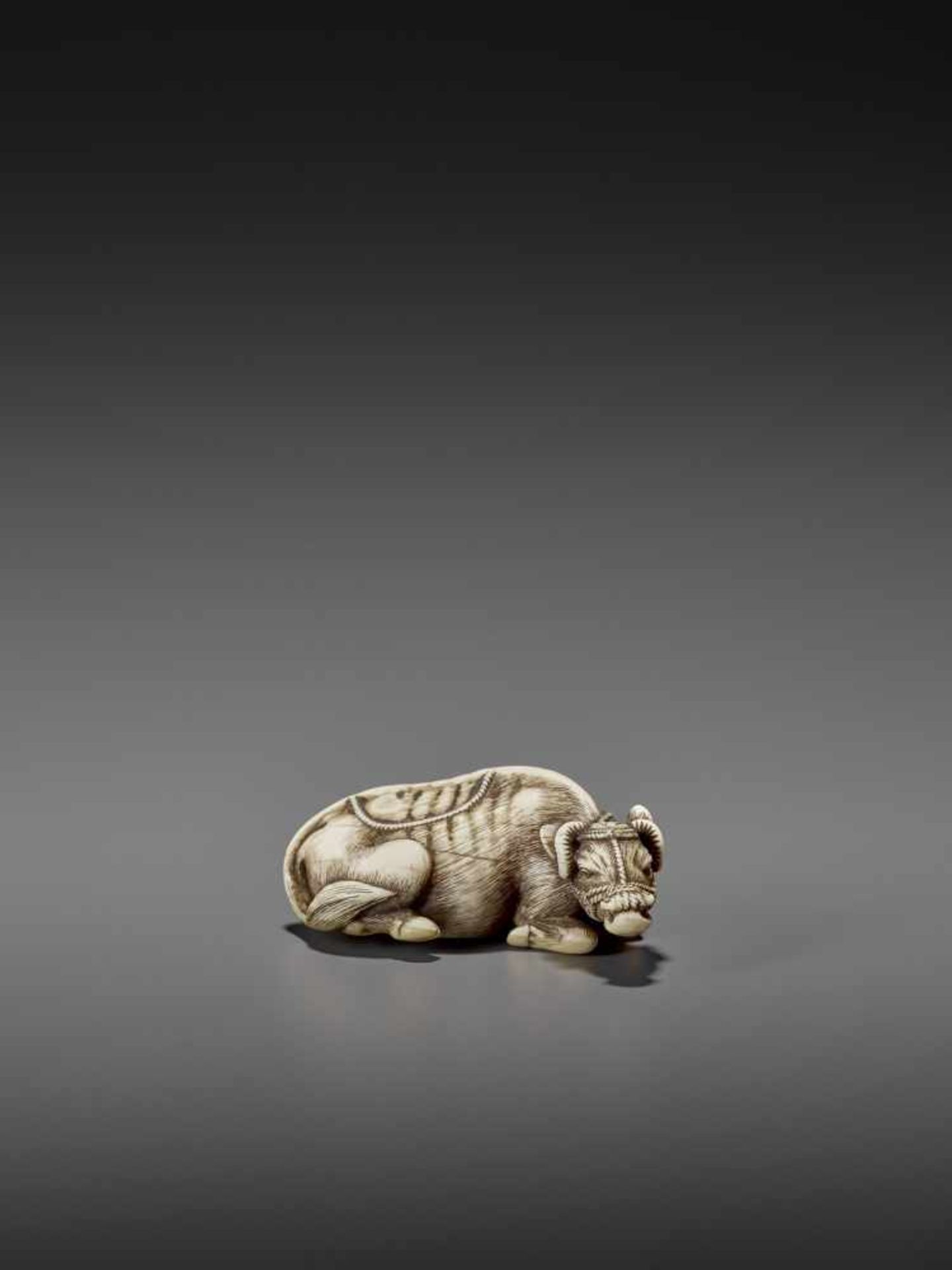MASANAO: AN EXCELLENT IVORY NETSUKE OF A RECUMBENT COW By Masanao of Kyoto, signed MasanaoJapan, - Image 5 of 12
