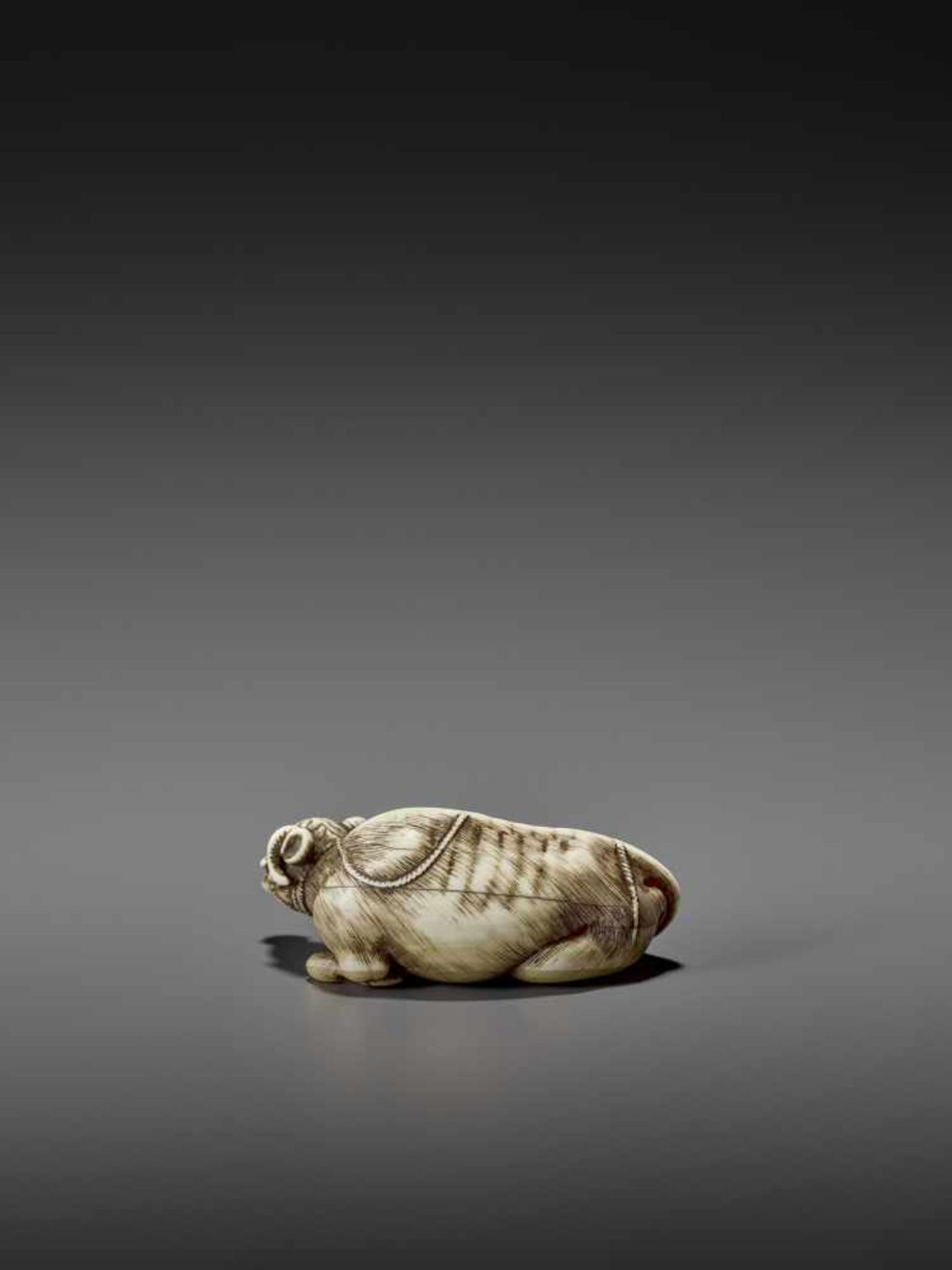 MASANAO: AN EXCELLENT IVORY NETSUKE OF A RECUMBENT COW By Masanao of Kyoto, signed MasanaoJapan, - Image 10 of 12