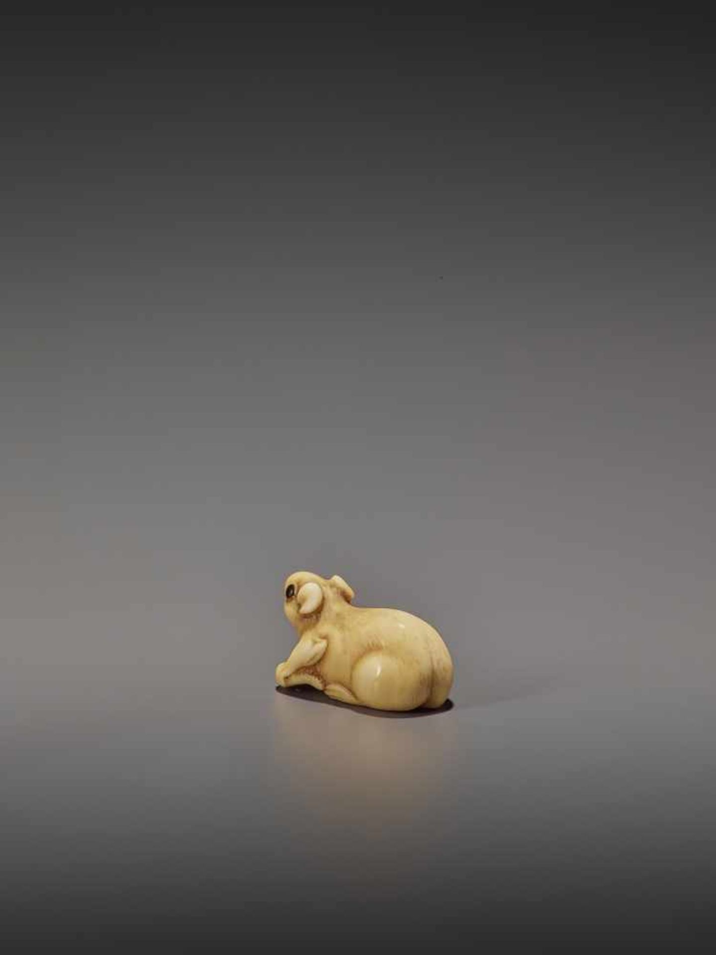 A CHARMING MARINE IVORY NETSUKE OF A RAT HOLDING ITS TAIL UnsignedJapan, 19th century, Edo period ( - Bild 4 aus 10