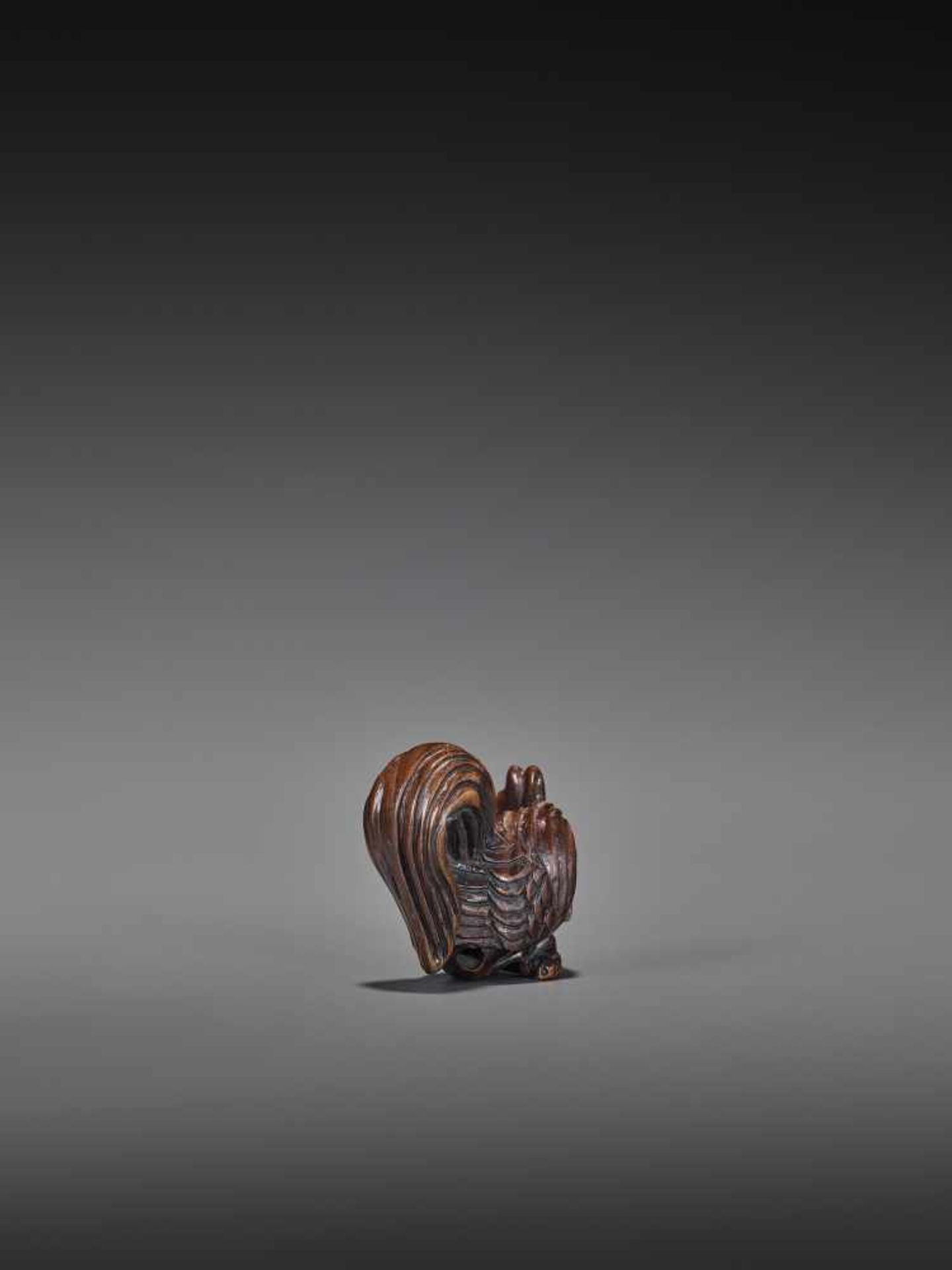 TOMOKAZU: WOOD NETSUKE OF A COCKEREL ON A BRANCH Inscribed TomokazuJapan, late 19th to 20th centuryA - Image 4 of 9