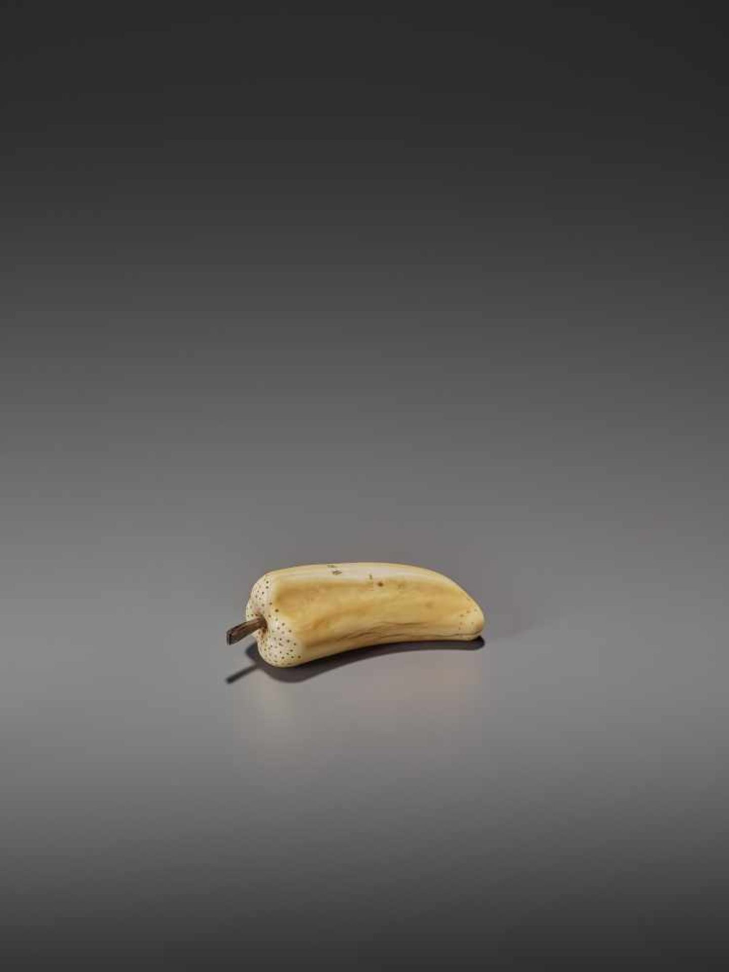 A VERY RARE MARINE IVORY NETSUKE OF A BELL PEPPER UnsignedJapan, 19th century, Edo period (1615- - Image 3 of 11