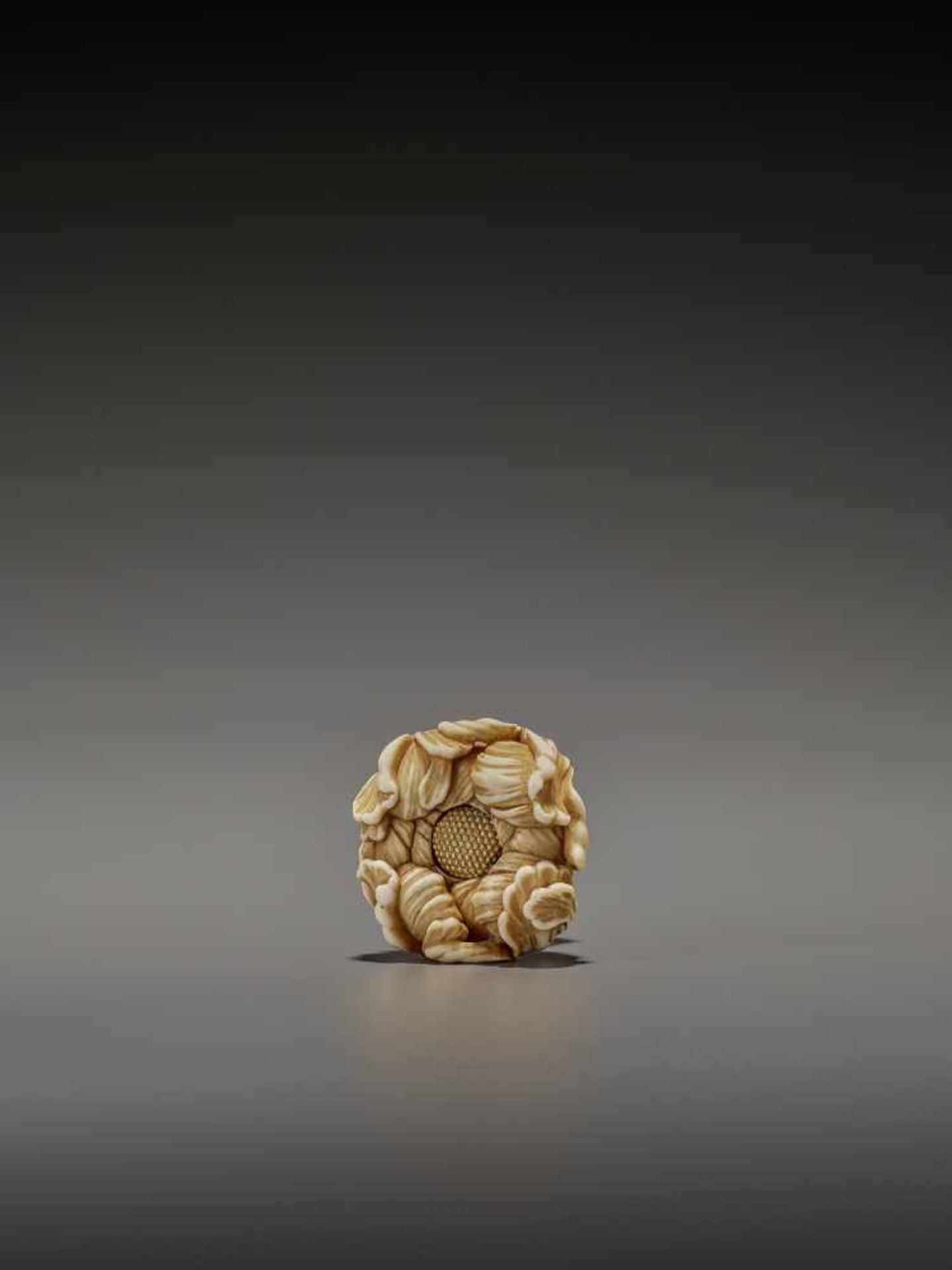 KOHOSAI: AN EXCELLENT IVORY AND GOLD NETSUKE OF A FLOWERING CHRYSANTHEMUM By Ueda Kohosai (died