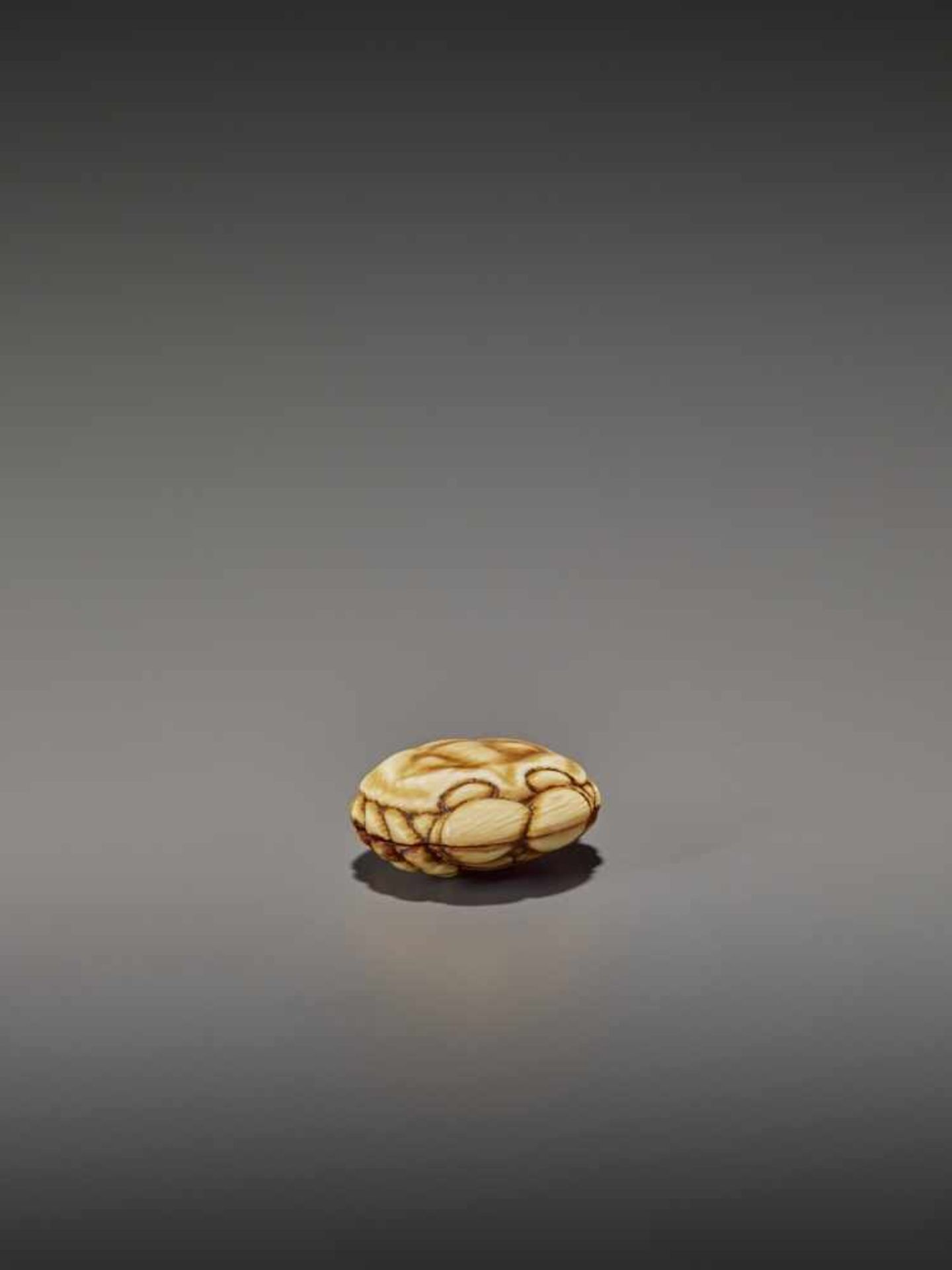 A FINELY STAINED WALRUS IVORY TWO-PART MANJU NETSUKE OF A CRAB UnsignedJapan, Osaka, early to mid-