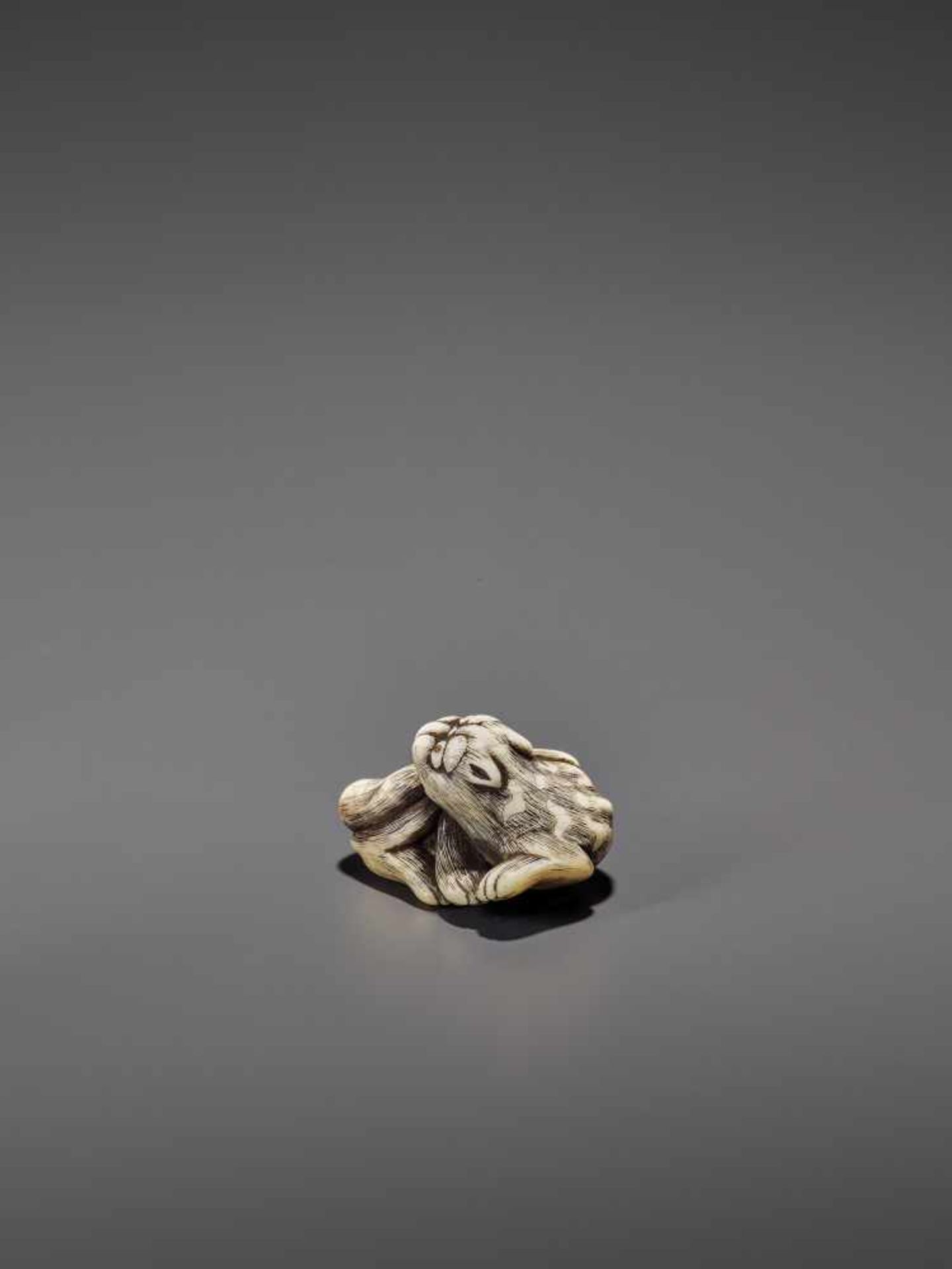 AN IVORY OSAKA STYLE NETSUKE OF A RECLINING TIGER UnsignedJapan, Osaka, 19th century, Edo period ( - Image 3 of 8