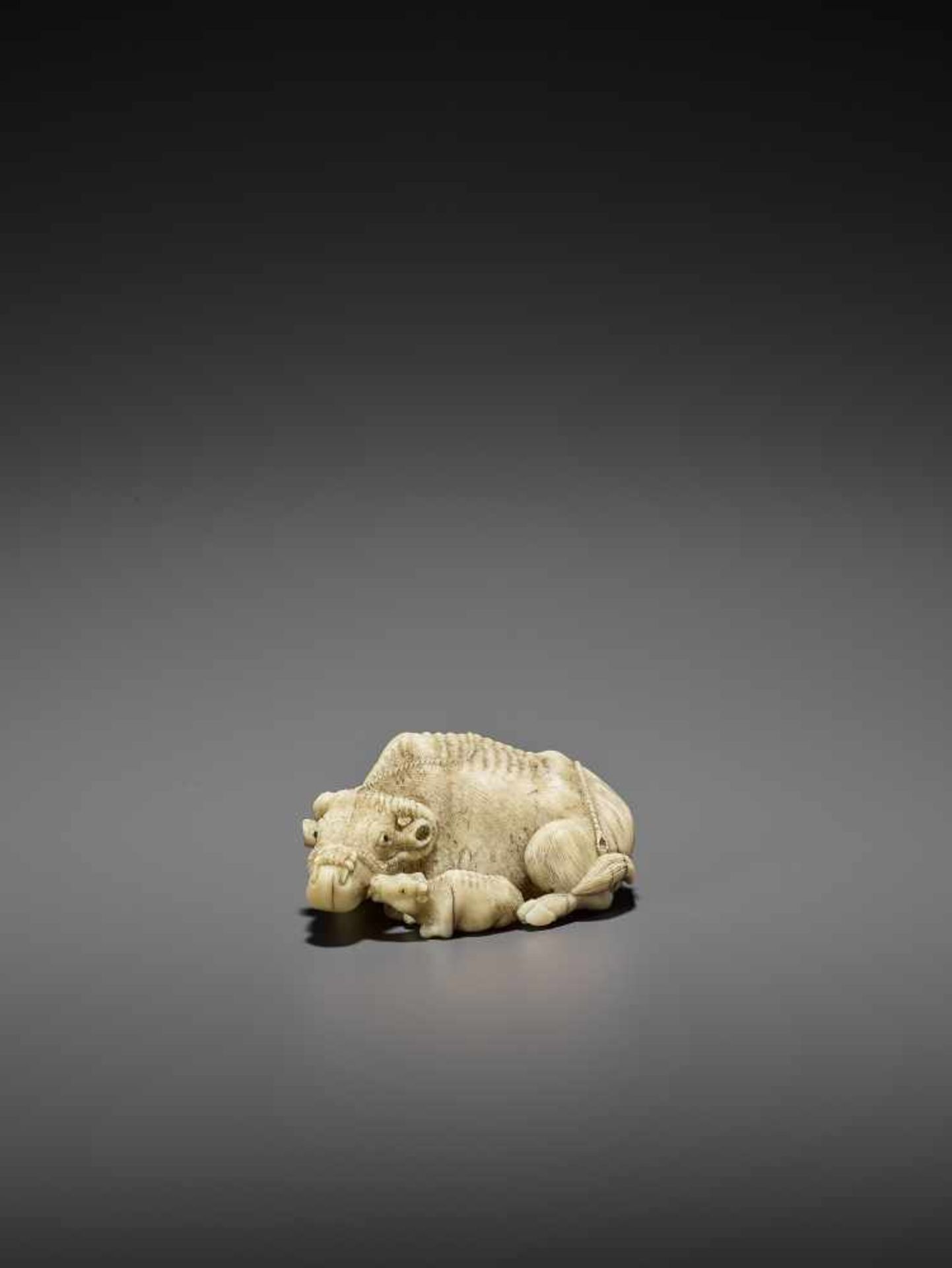 MITSUCHIKA: A LARGE AND RARE WALRUS IVORY NETSUKE OF A RECUMBENT COW WITH CALF By Mitsuchika, signed
