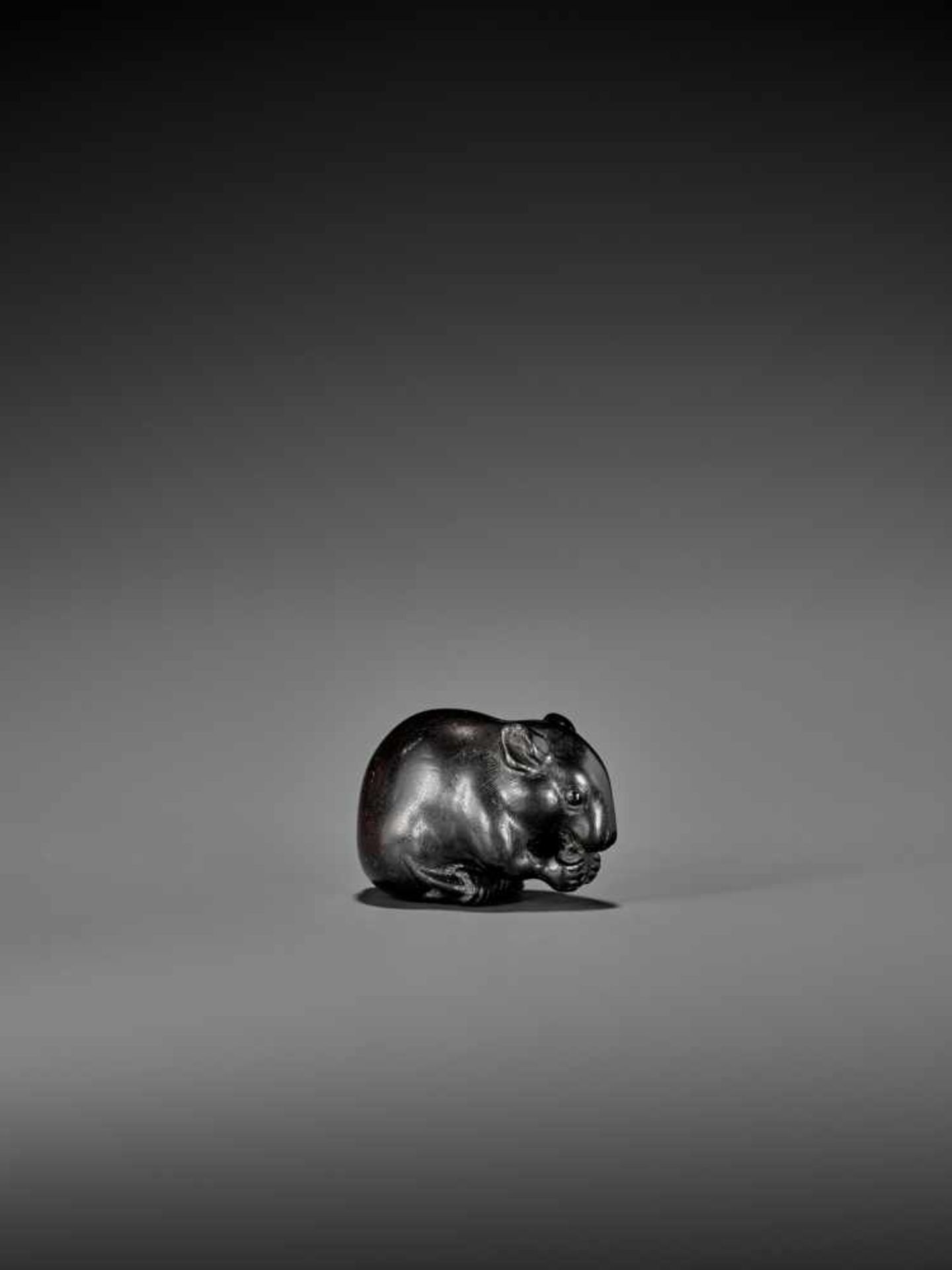 OKATORI: A RARE AND EXCELLENT EBONY WOOD NETSUKE OF A HUNGRY RAT By Okatori, signed OkatoriJapan,