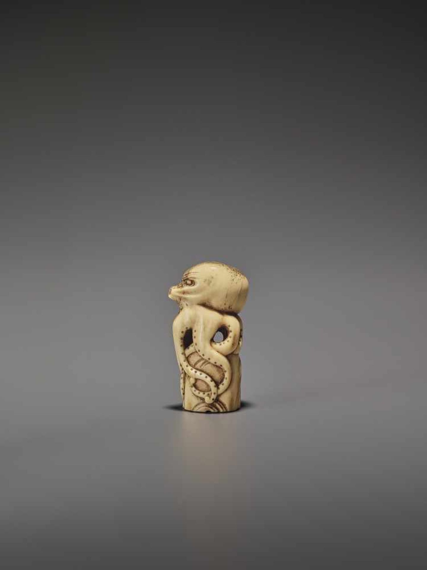 A RARE STAG ANTLER NETSUKE OF AN OCTOPUS UnsignedJapan, early 19th century, Edo period (1615-1868) - Image 5 of 10