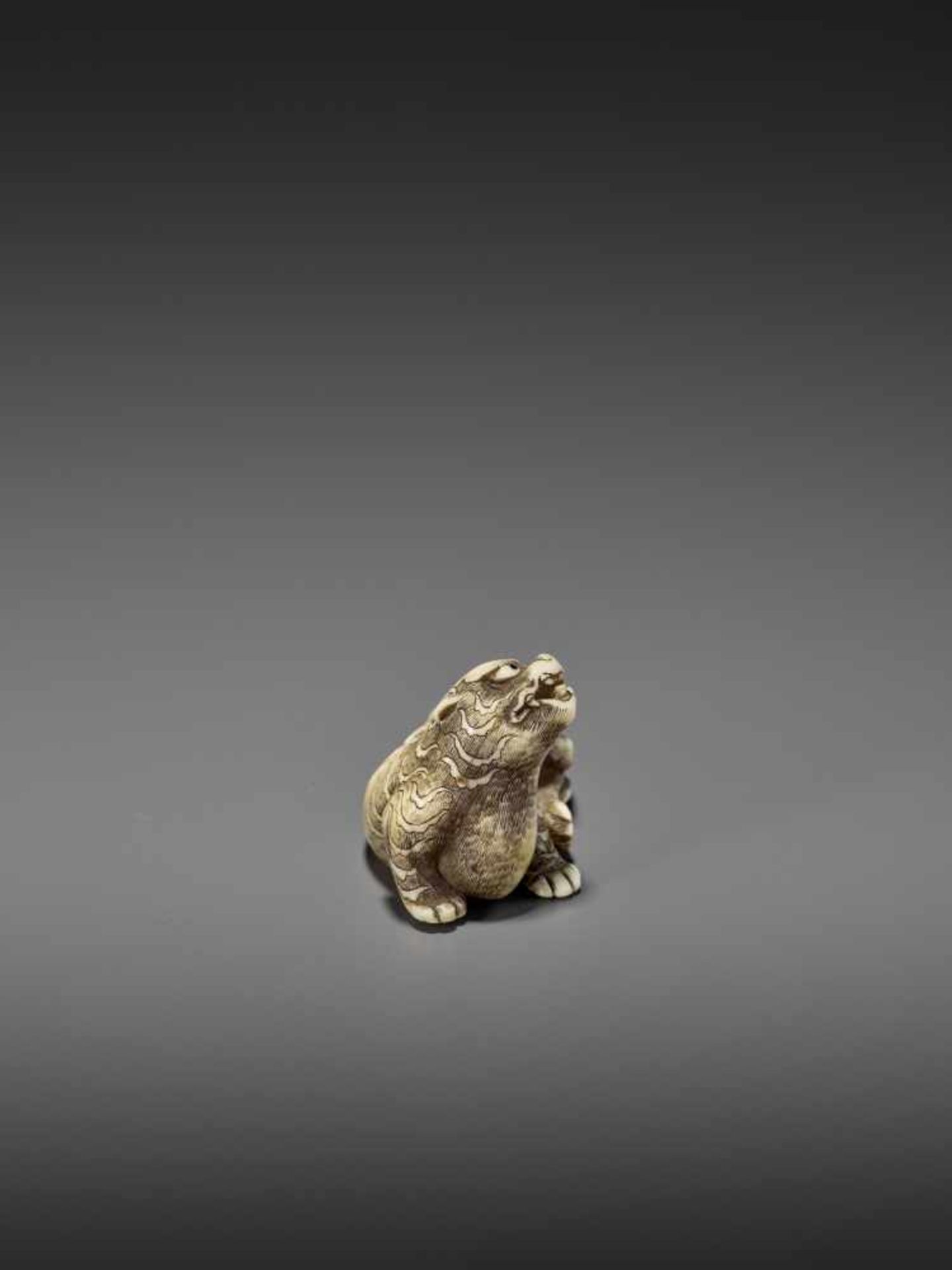 A FINE IVORY NETSUKE OF A RECUMBENT TIGER Unsigned, circle of Risuke Garaku (active ca. 1780) - Image 8 of 11