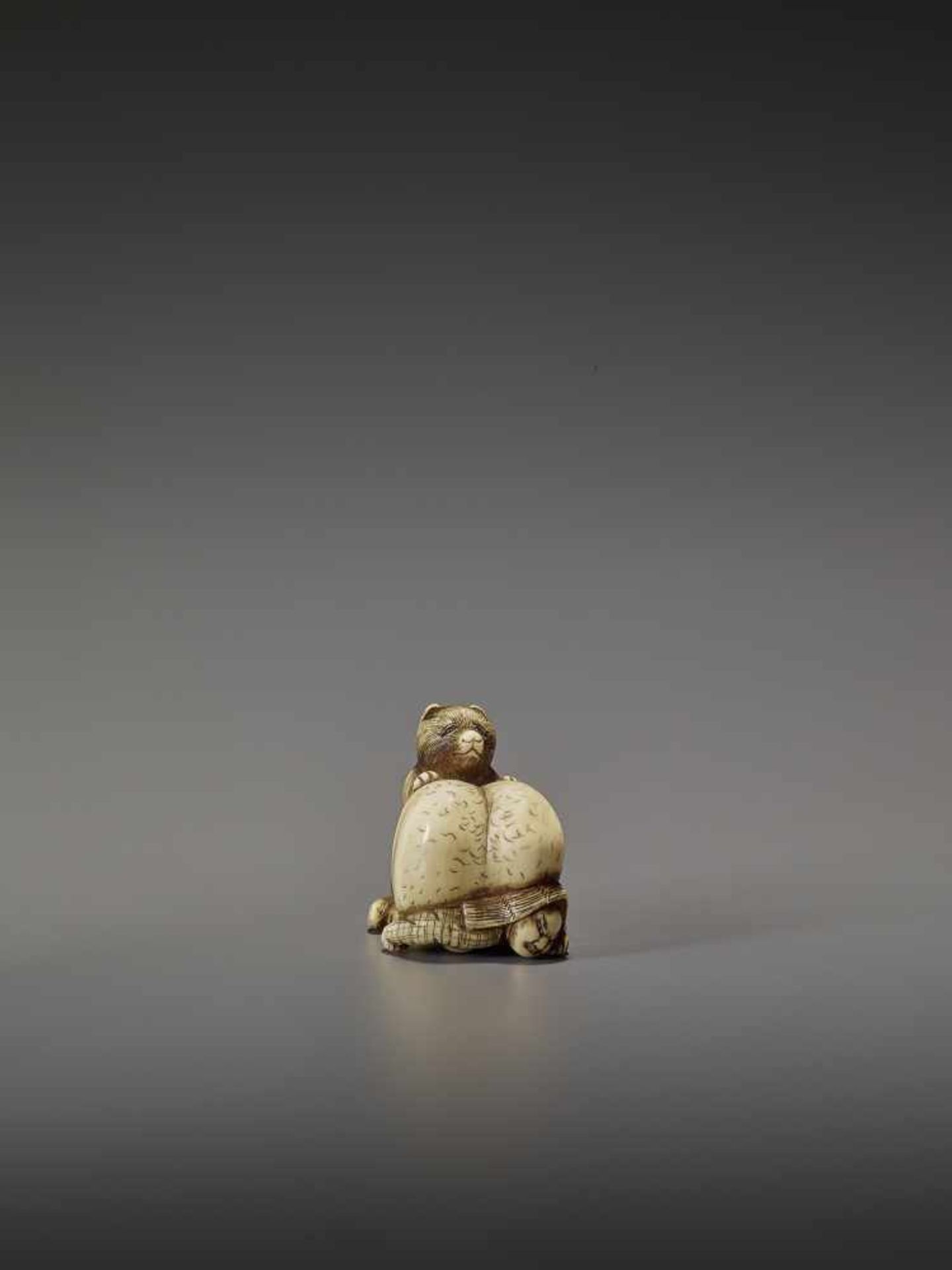 SHUNGETSU: IVORY NETSUKE OF A TANUKI SUFFOCATING A HUNTER WITH HIS SCROTUM By Shungetsu, signed - Bild 9 aus 11