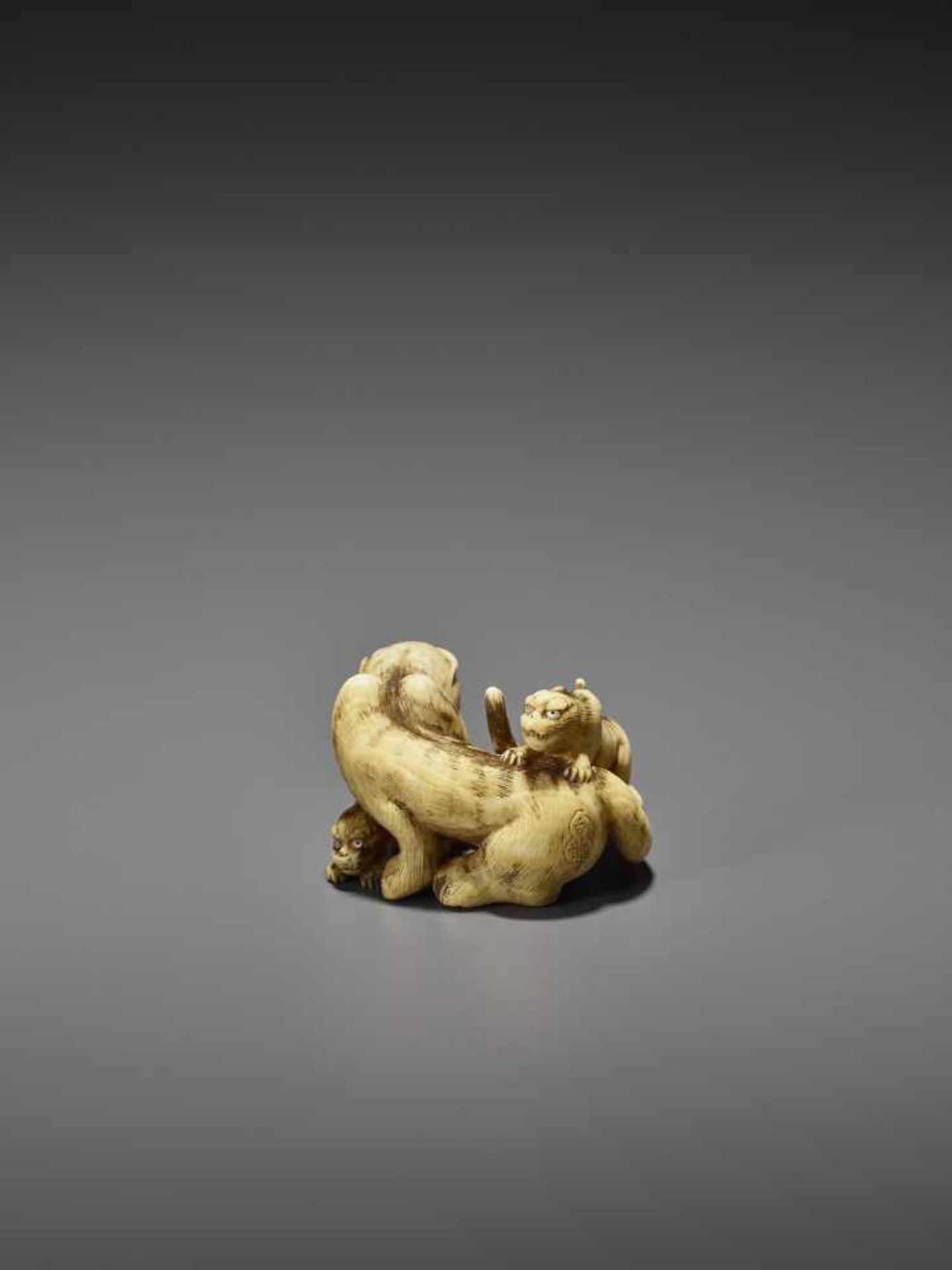 HAKURYU: AN EXCEPTIONAL IVORY NETSUKE OF A TIGER WITH TWO CUBS By Unsho Hakuryu II, signed - Image 2 of 12