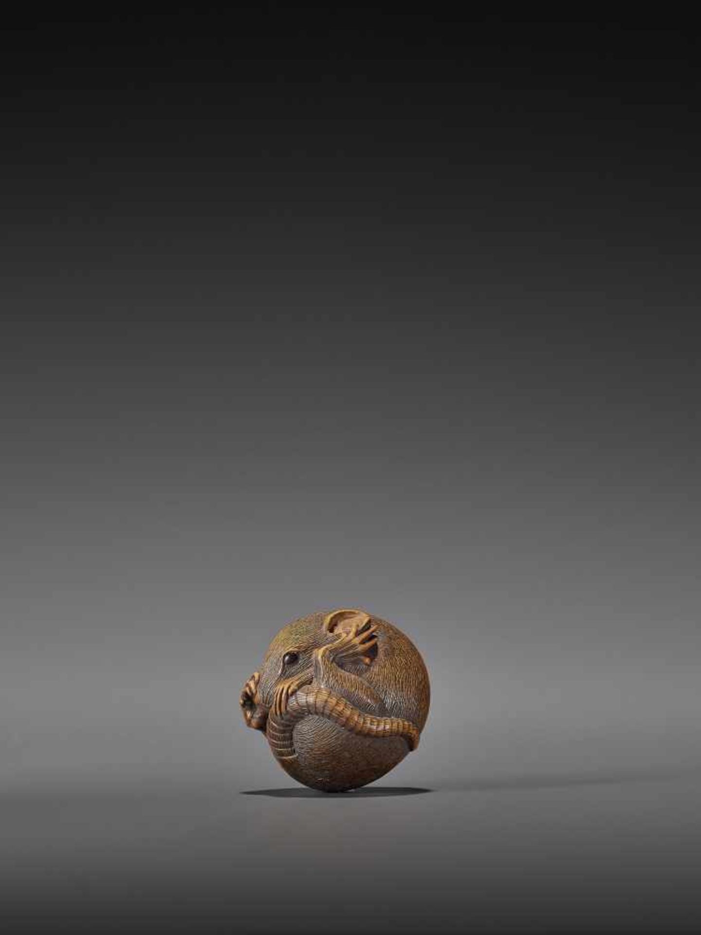 MASAKATSU: A FINE WOOD NETSUKE OF A COILED RAT By Masakatsu, signed MasakatsuJapan, Yamada, Ise - Image 5 of 10