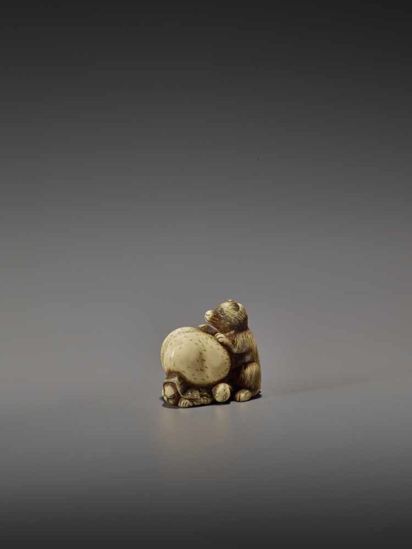 SHUNGETSU: IVORY NETSUKE OF A TANUKI SUFFOCATING A HUNTER WITH HIS SCROTUM By Shungetsu, signed - Image 3 of 11