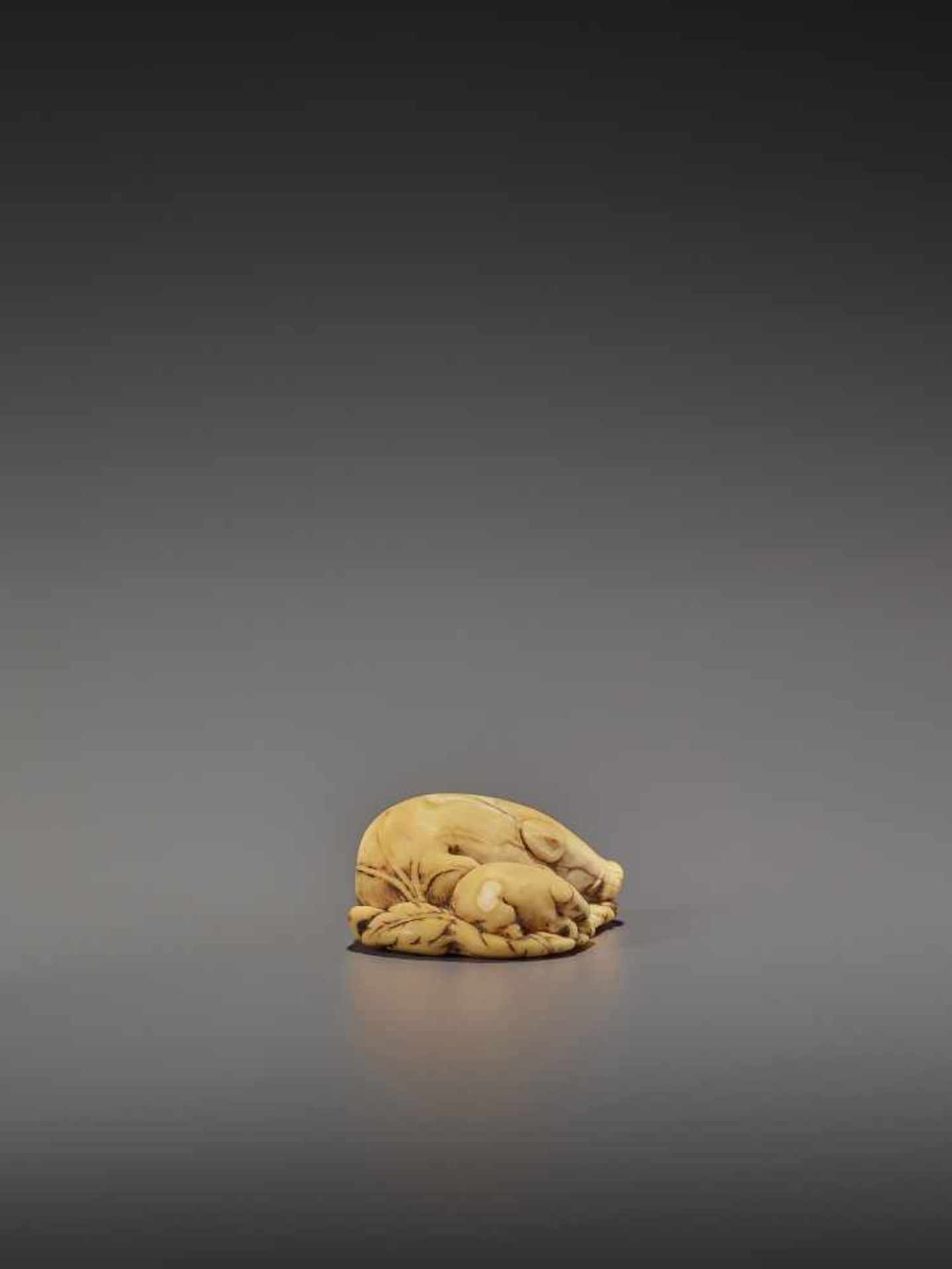 A FINE IVORY NETSUKE OF TWO RESTING BOARS UnsignedJapan, Kyoto, 18th century, Edo period (1615- - Bild 8 aus 9