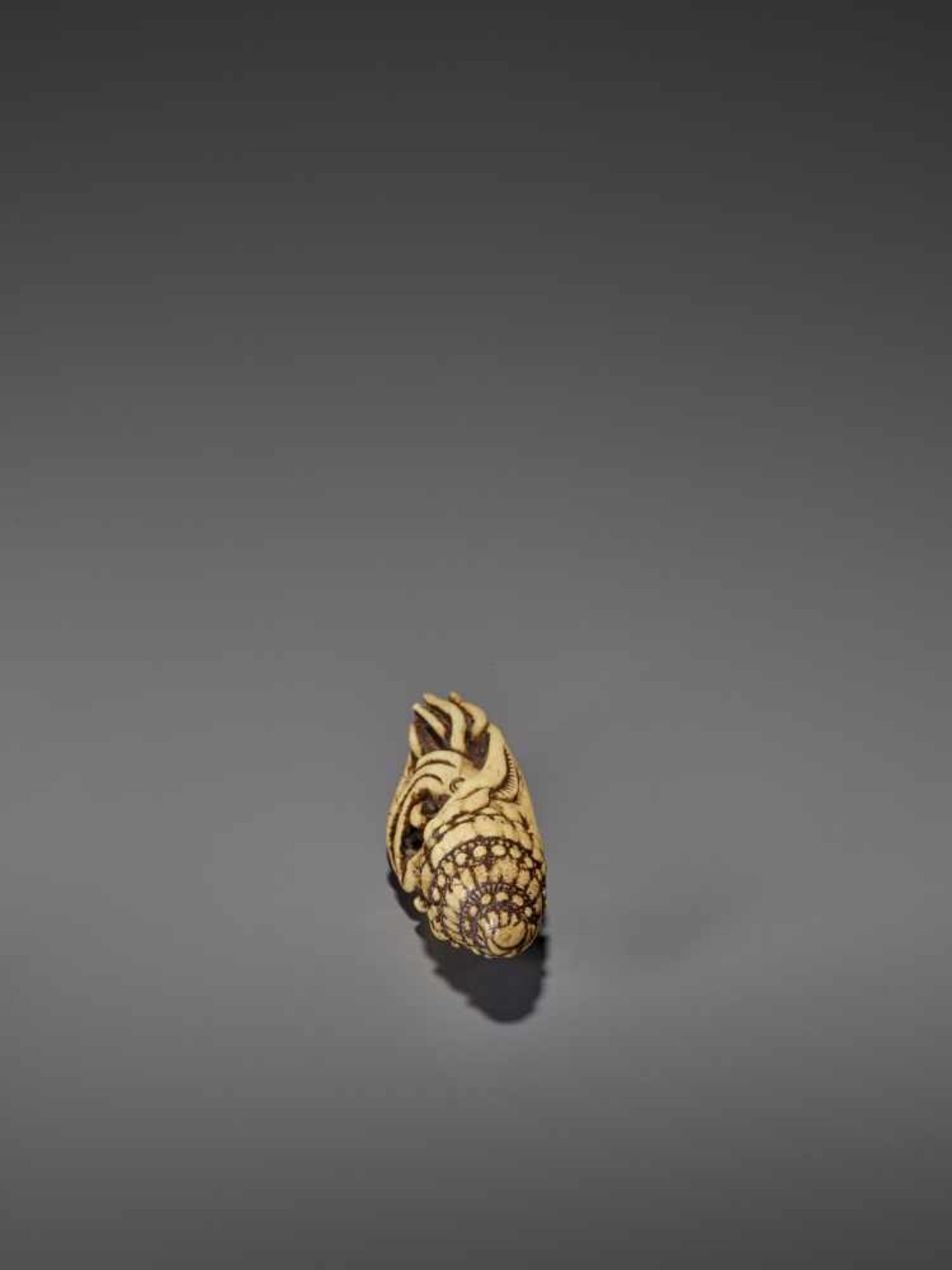 A VERY RARE STAG ANTLER NETSUKE OF A NAUTILUS IN SHELL UnsignedJapan, 18th century, Edo period ( - Image 4 of 8