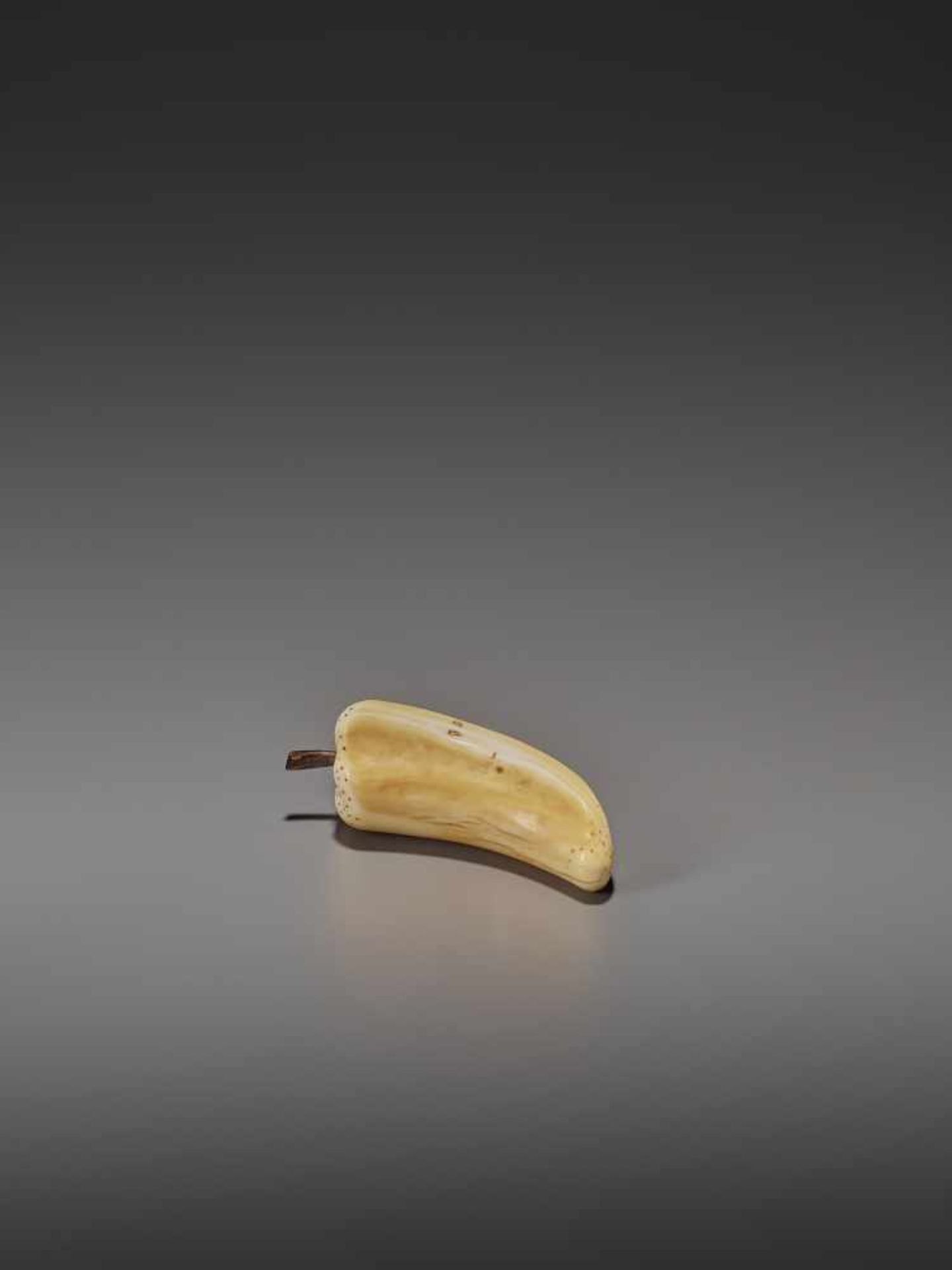 A VERY RARE MARINE IVORY NETSUKE OF A BELL PEPPER UnsignedJapan, 19th century, Edo period (1615- - Bild 4 aus 11