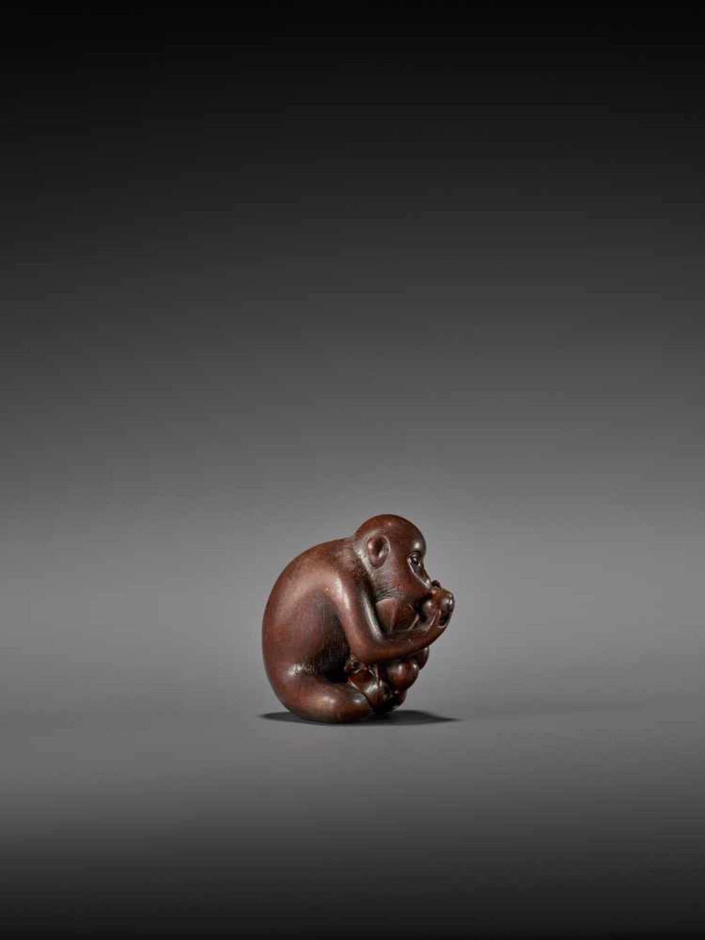 TOMOKAZU: AN EXCELLENT WOOD NETSUKE OF A MONKEY EATING PERSIMMONS By Kano Tomokazu, signed - Image 7 of 11