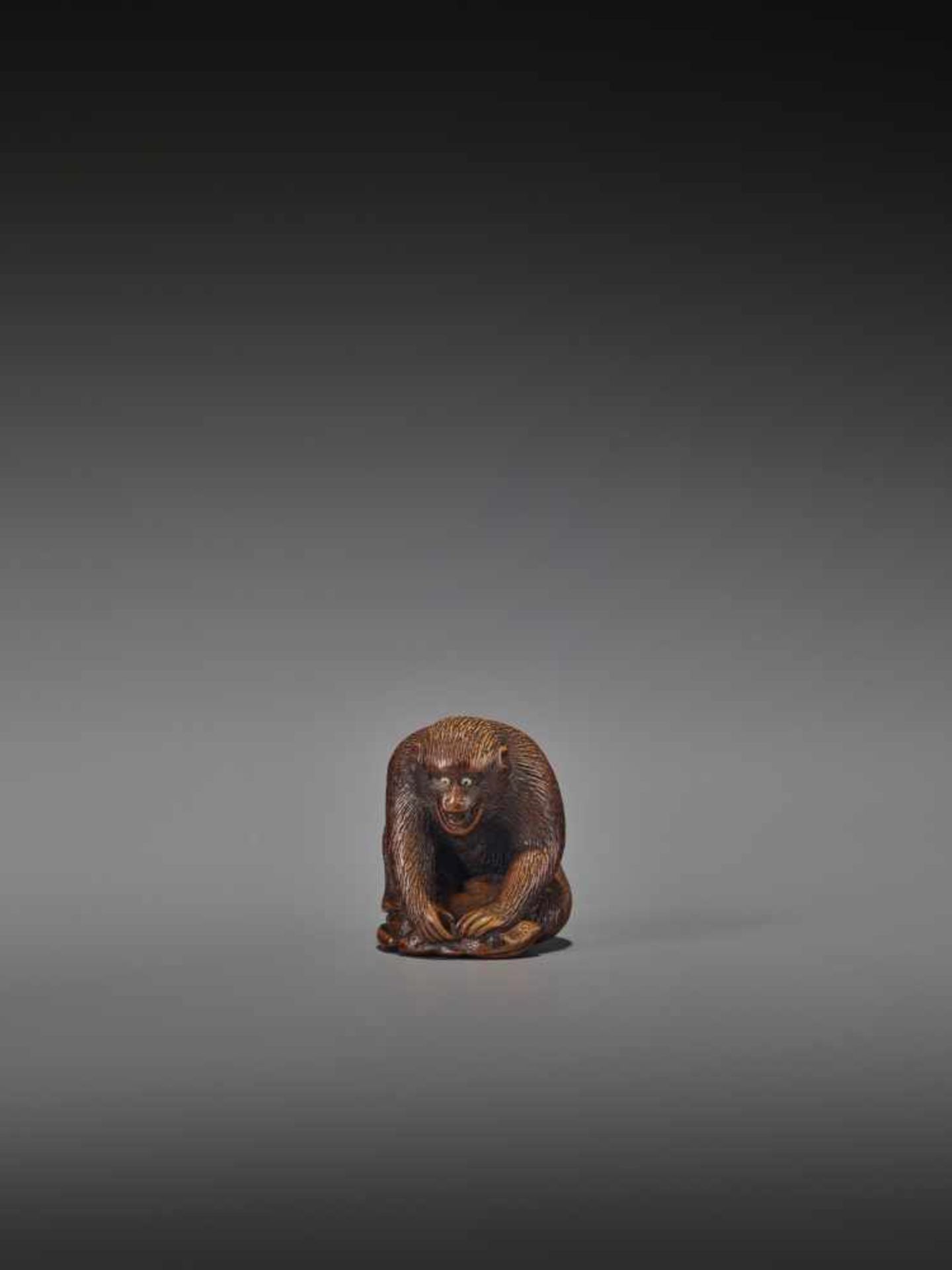 AN AMUSING WOOD NETSUKE OF A MONKEY HOLDING DOWN A FROG UnsignedJapan, Gifu, 19th century, Edo - Image 4 of 9