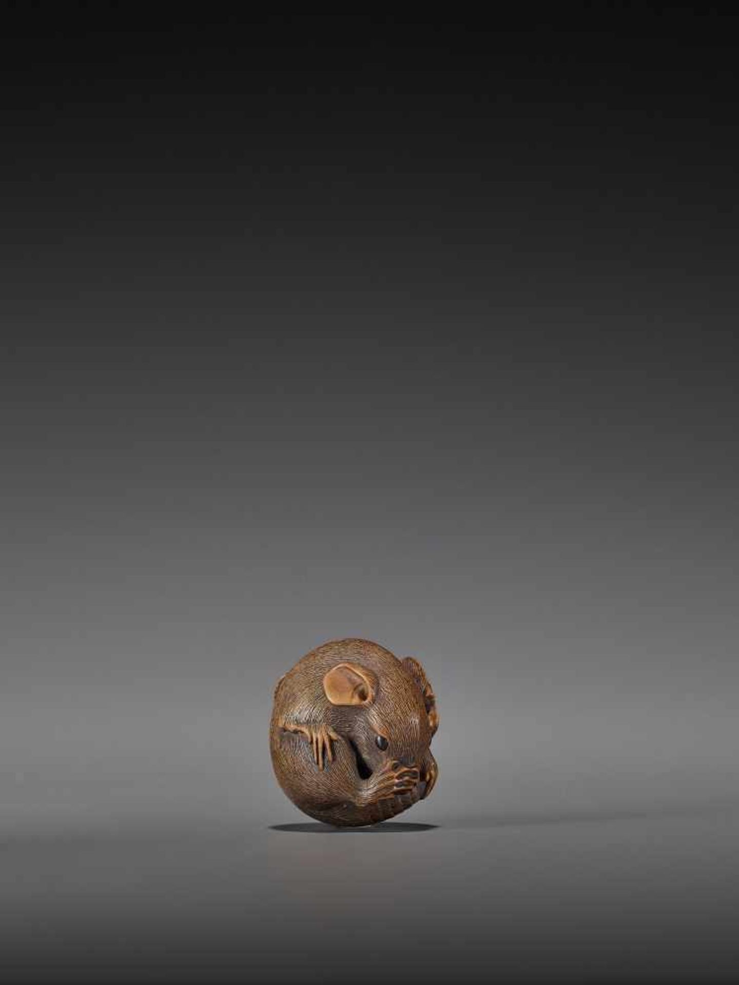 MASAKATSU: A FINE WOOD NETSUKE OF A COILED RAT By Masakatsu, signed MasakatsuJapan, Yamada, Ise - Bild 7 aus 10