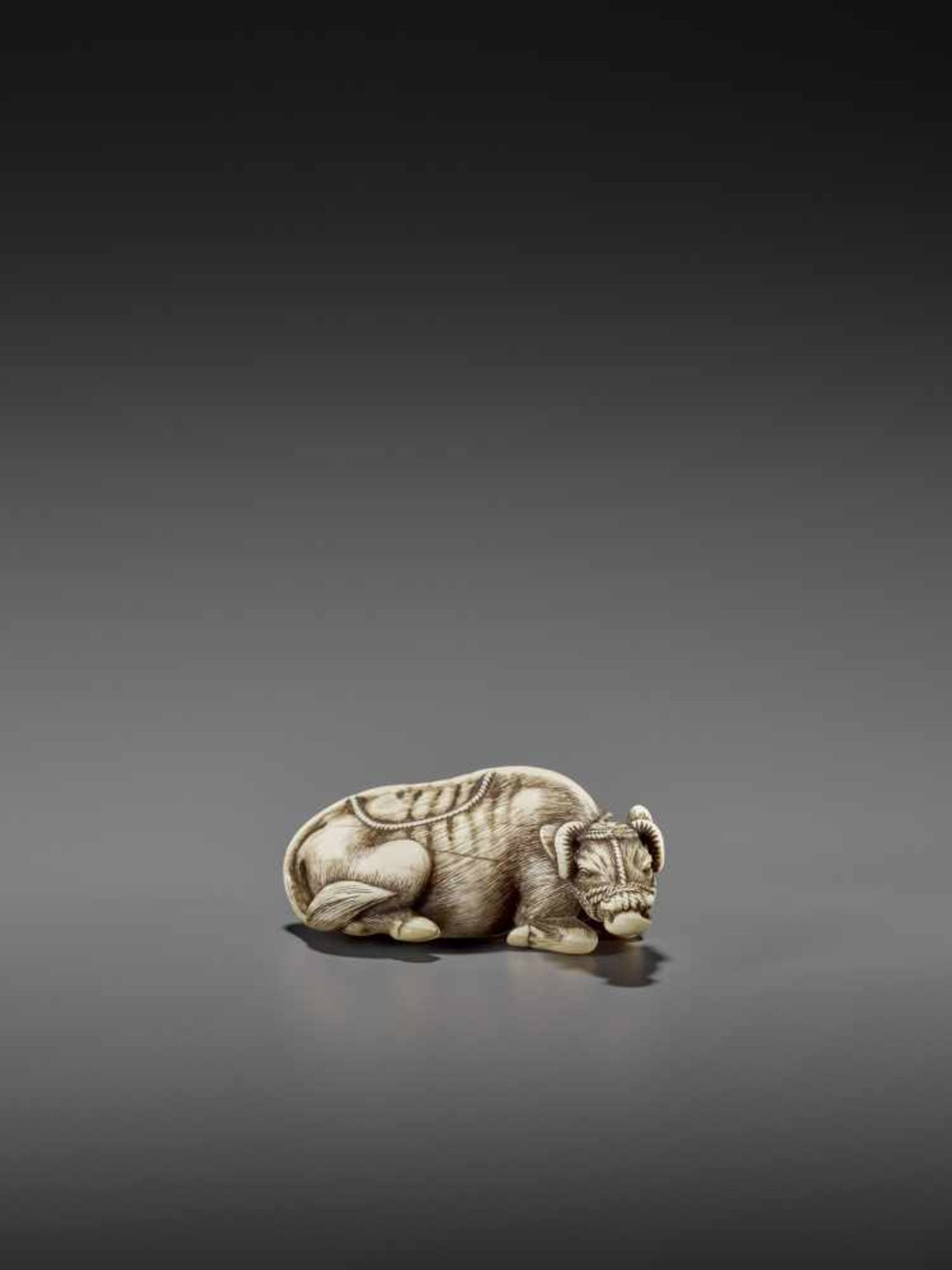 MASANAO: AN EXCELLENT IVORY NETSUKE OF A RECUMBENT COW By Masanao of Kyoto, signed MasanaoJapan, - Image 6 of 12