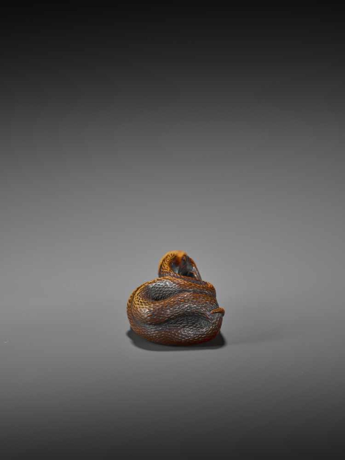 AN EXCELLENT WOOD NETSUKE OF A FROG WITH SNAKE, SANSUKUMI UnsignedJapan, late 18th century, Edo - Image 8 of 9