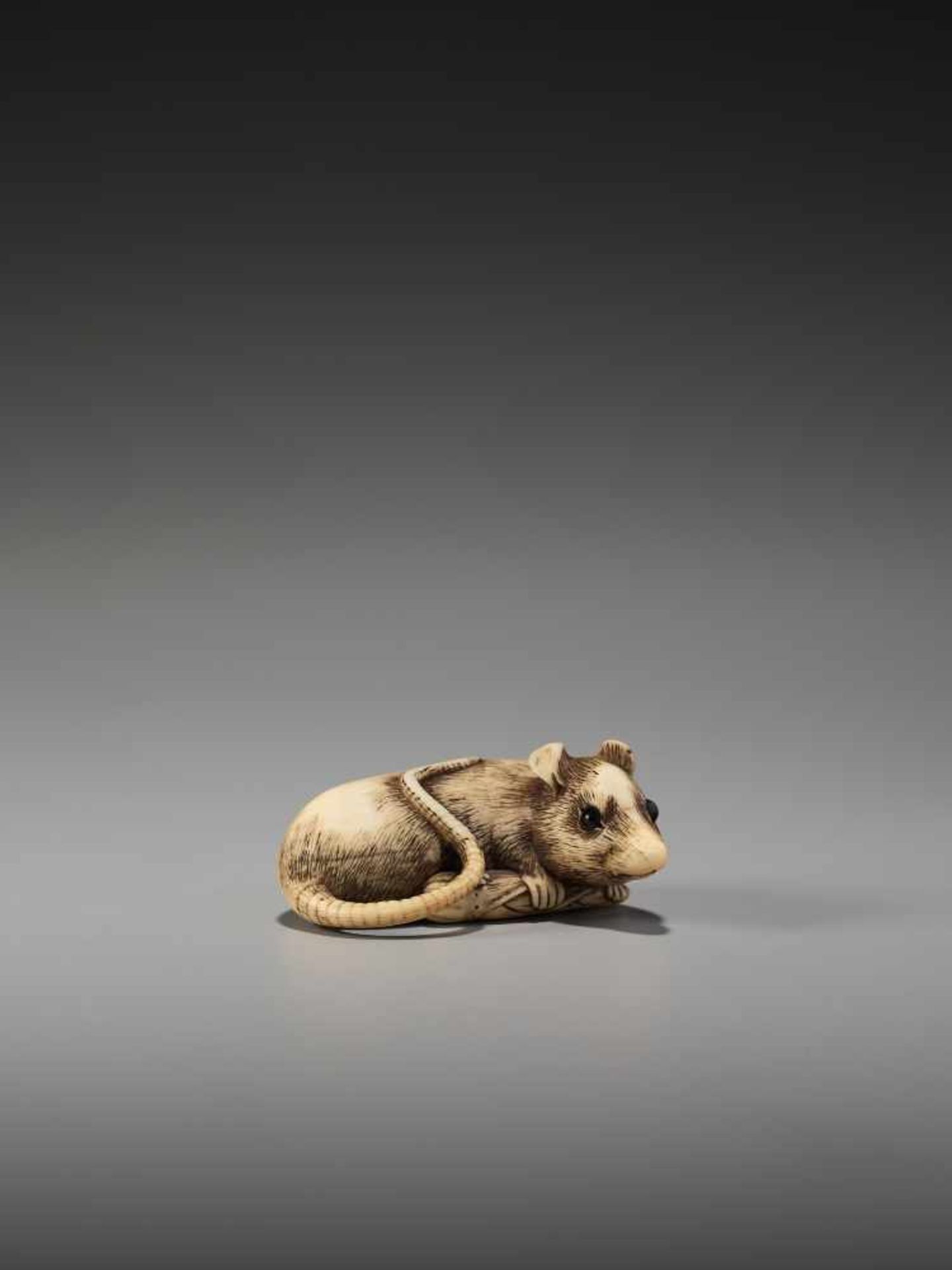 SADAYOSHI: AN EXCELLENT IVORY NETSUKE OF A RAT WITH BAMBOO NODE By Sadayoshi, signed SadayoshiJapan, - Image 9 of 11