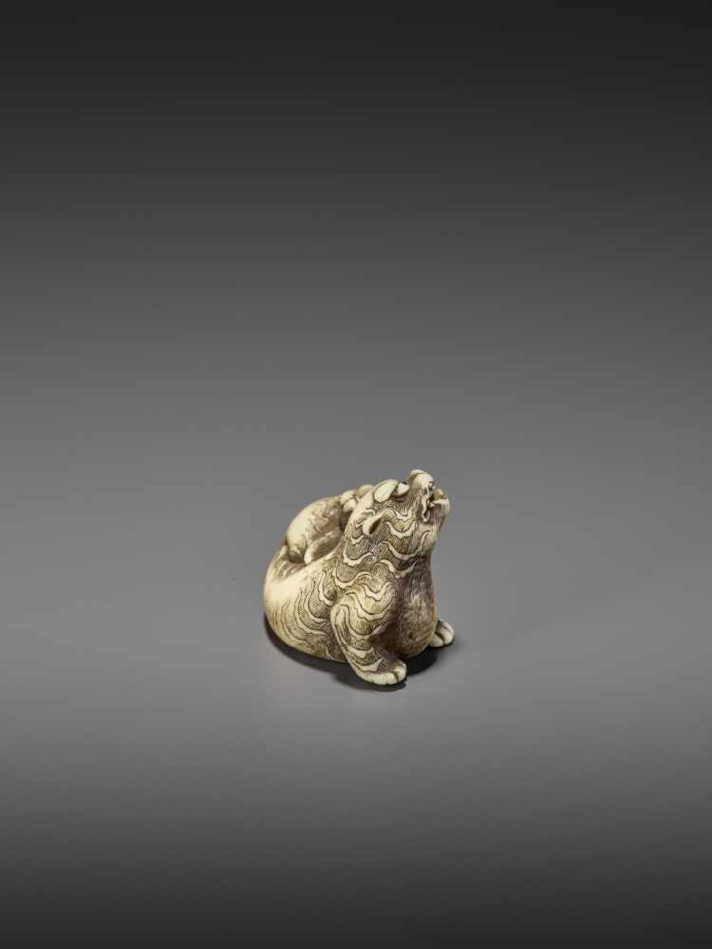 A FINE IVORY NETSUKE OF A RECUMBENT TIGER Unsigned, circle of Risuke Garaku (active ca. 1780) - Image 7 of 11