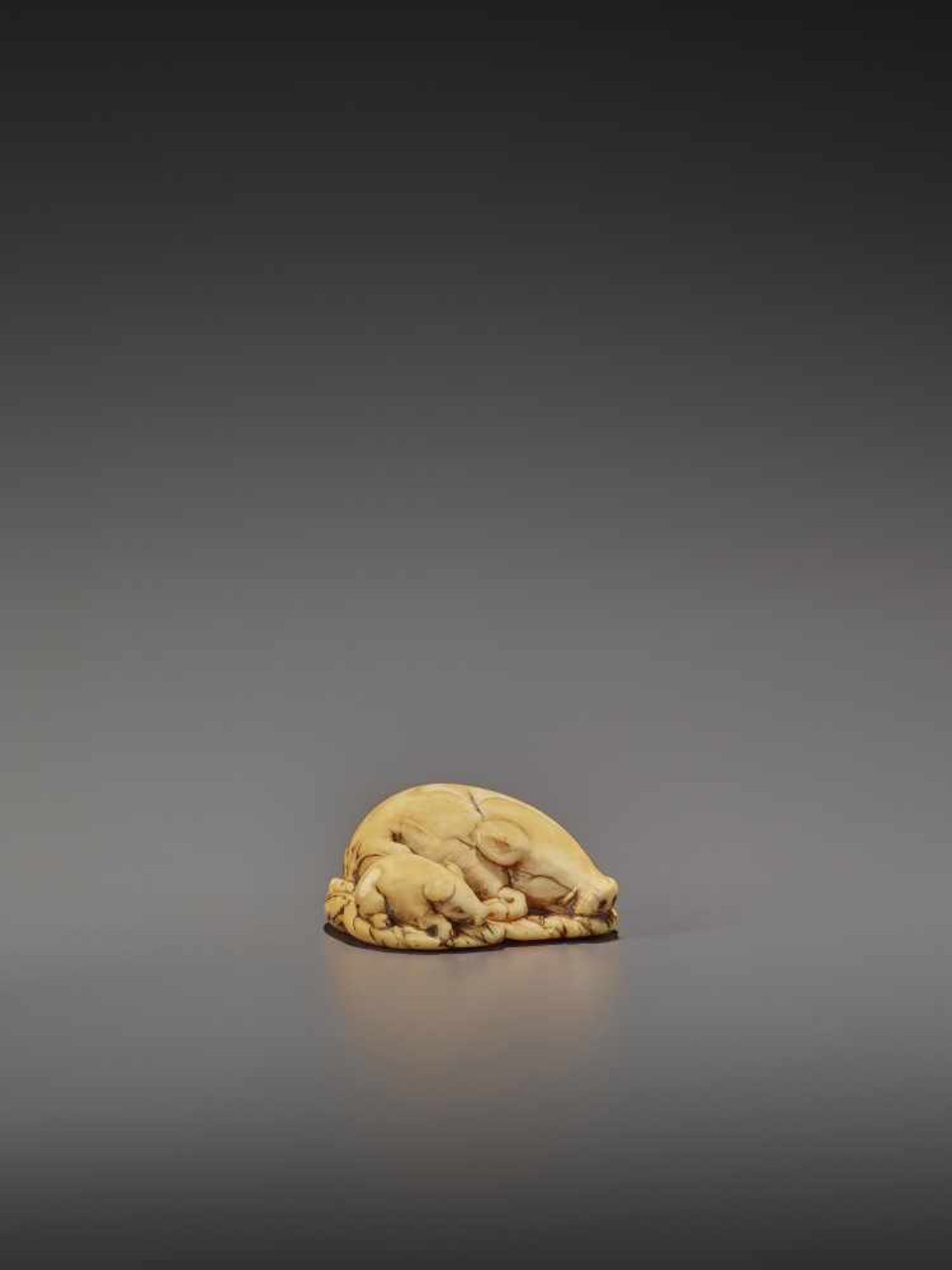 A FINE IVORY NETSUKE OF TWO RESTING BOARS UnsignedJapan, Kyoto, 18th century, Edo period (1615- - Bild 9 aus 9