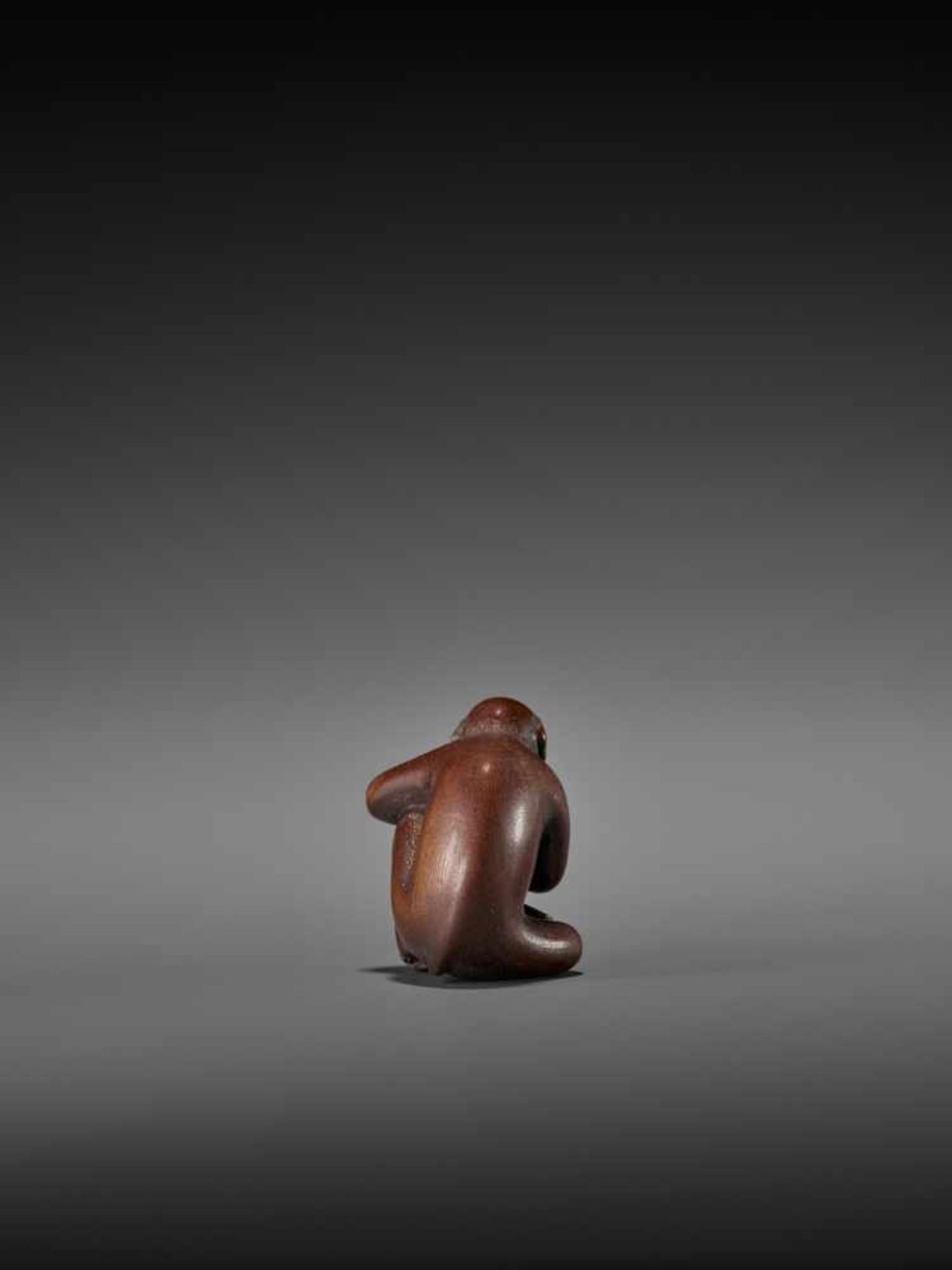 TOMOKAZU: AN EXCELLENT WOOD NETSUKE OF A MONKEY EATING PERSIMMONS By Kano Tomokazu, signed - Bild 6 aus 11