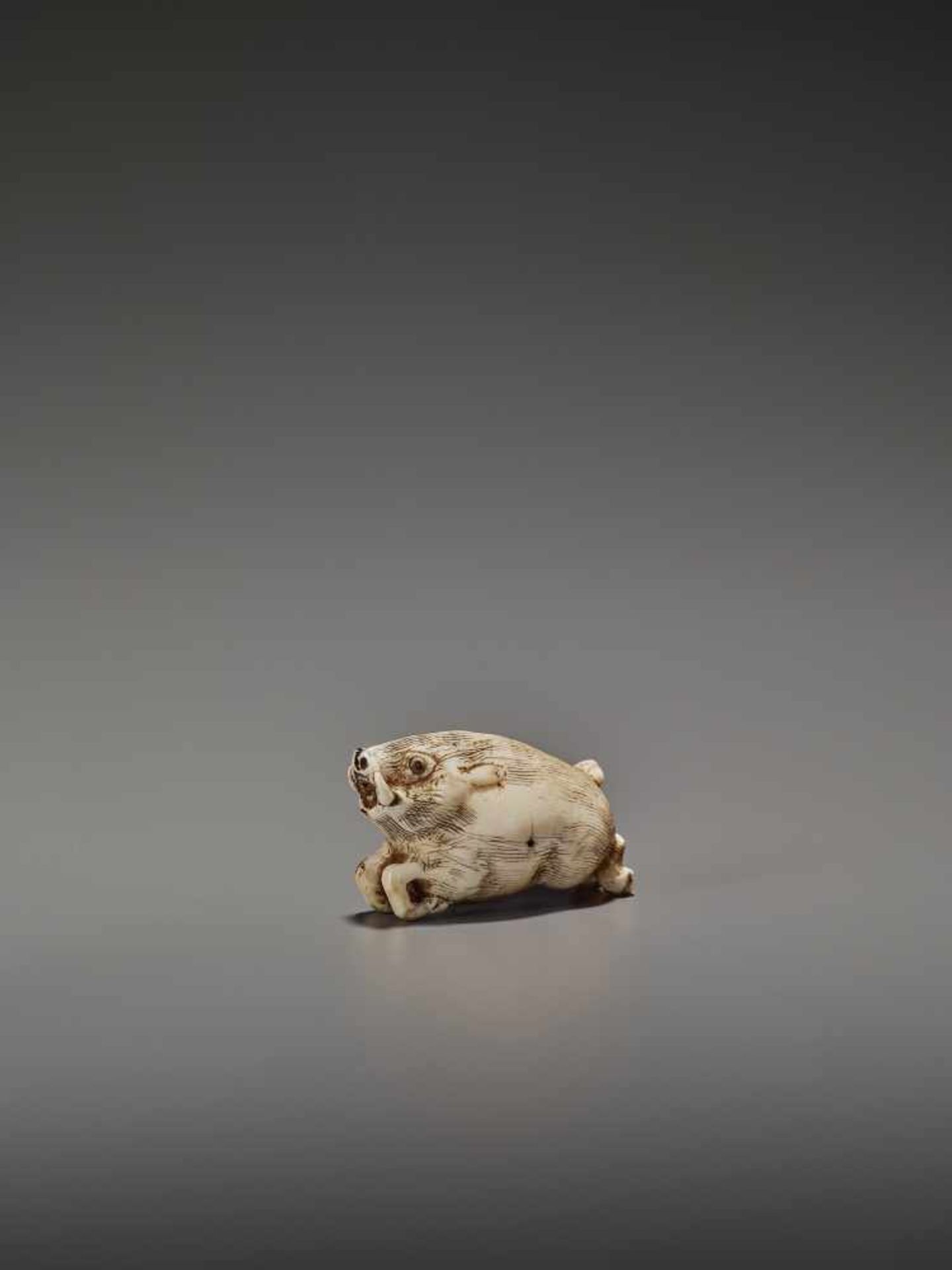 AN UNUSUAL IVORY NETSUKE OF A RUNNING BOAR UnsignedJapan, 18th century, Edo period (1615-1868)A very