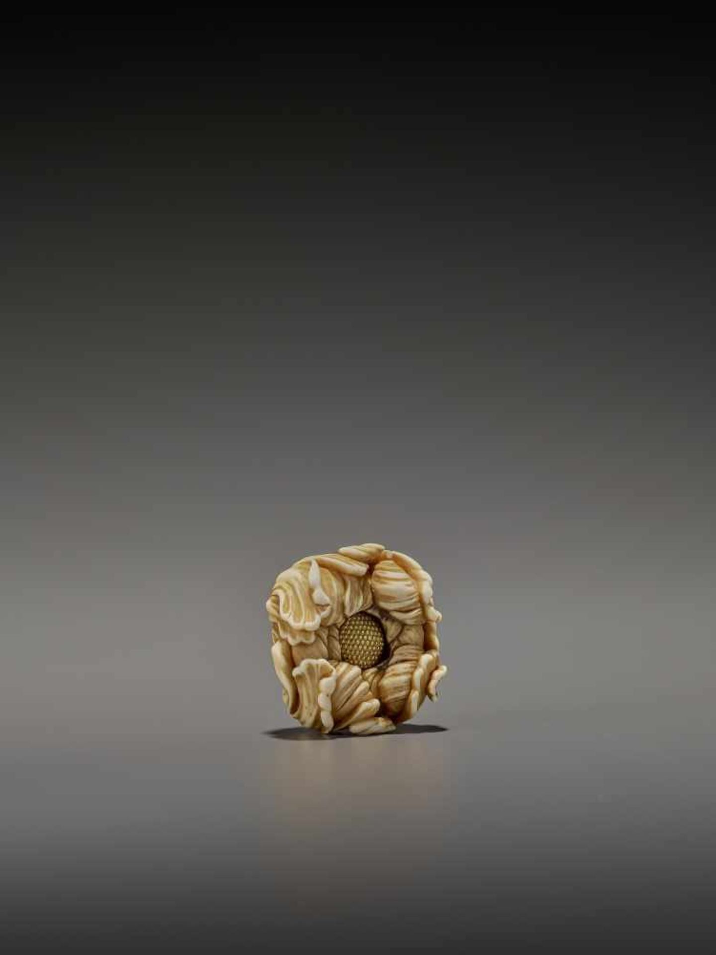 KOHOSAI: AN EXCELLENT IVORY AND GOLD NETSUKE OF A FLOWERING CHRYSANTHEMUM By Ueda Kohosai (died - Bild 9 aus 13