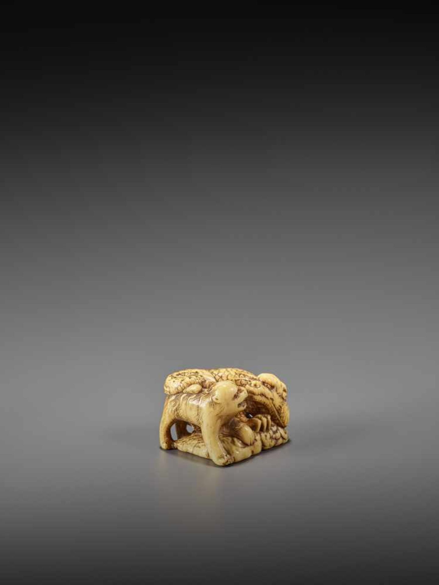 MINSEI: A POWERFUL IVORY NETSUKE OF A CONFRONTING DRAGON AND TIGER By Minsei, signed MinseiJapan, - Image 7 of 10