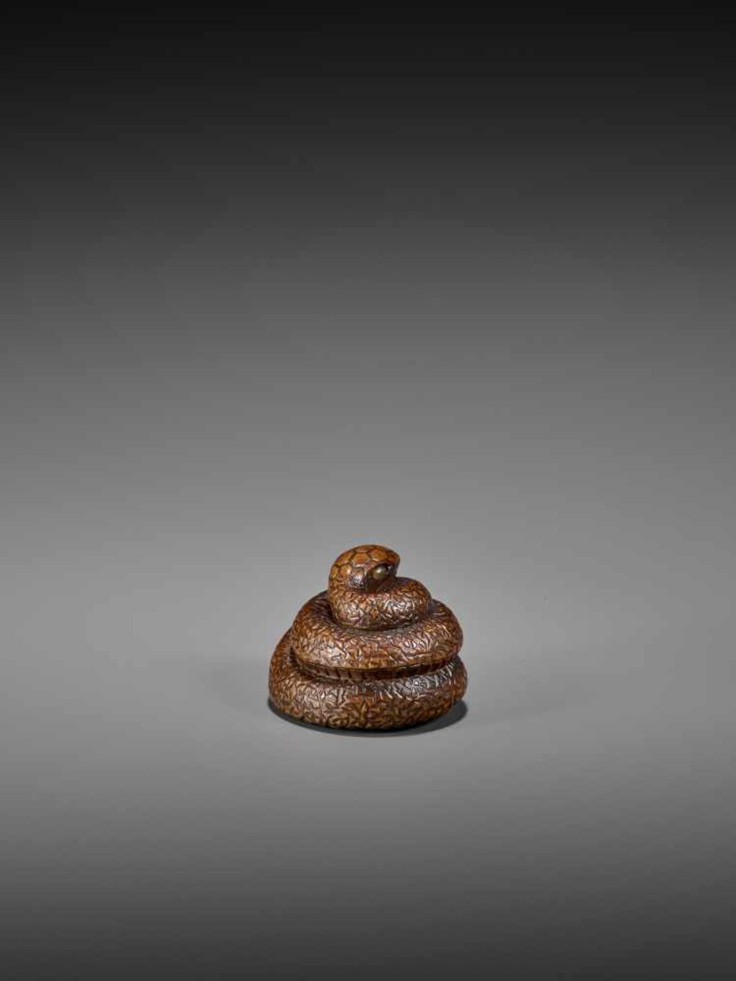 SARI: A FINE WOOD NETSUKE OF A COILED SNAKE By Sari, signed SariJapan, Iwashiro, early 19th century, - Image 7 of 9