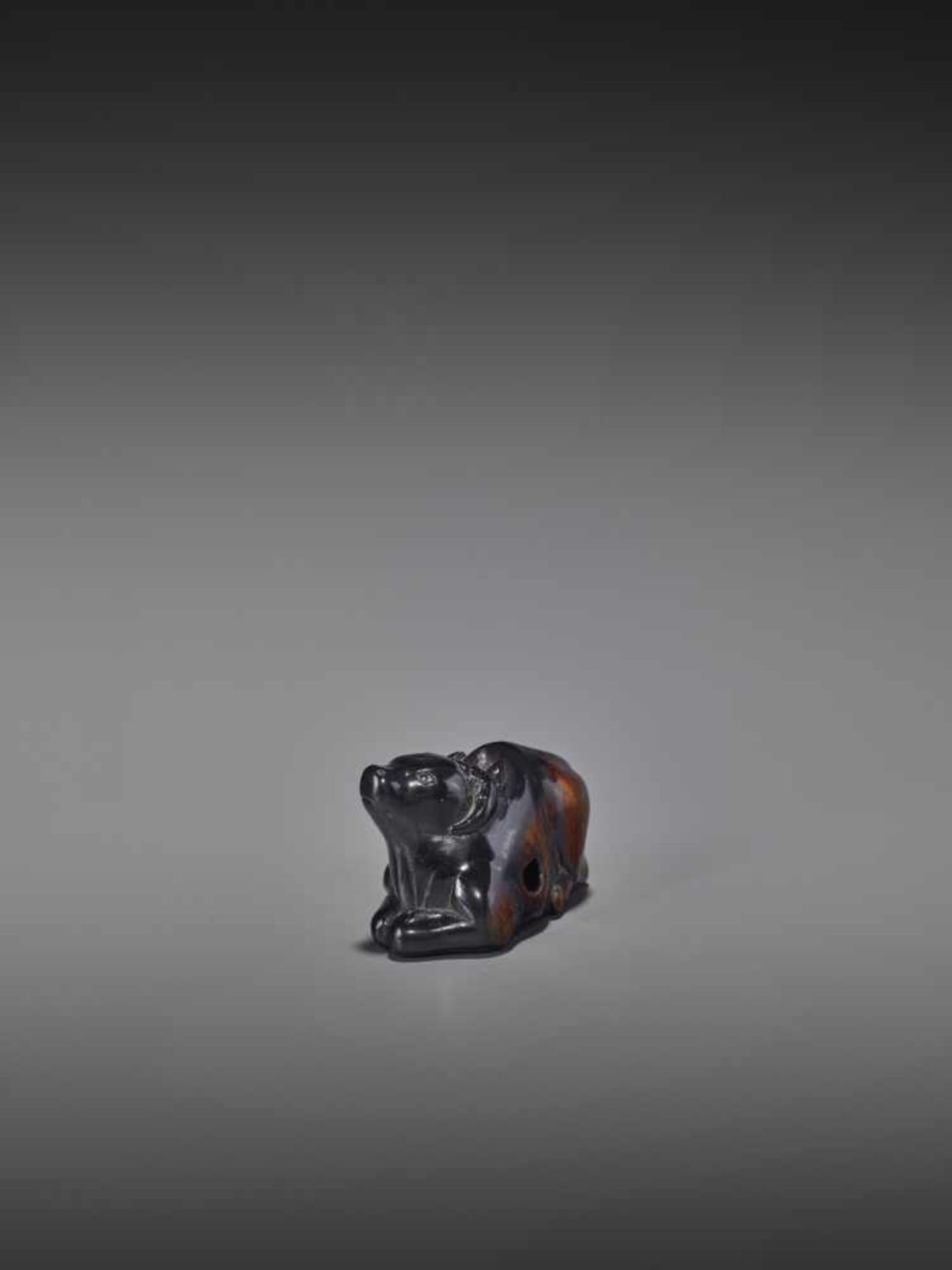 A KUROGAKI WOOD NETSUKE OF AN OX UnsignedJapan, early 18th century, Edo period (1615-1868)An early - Image 7 of 11