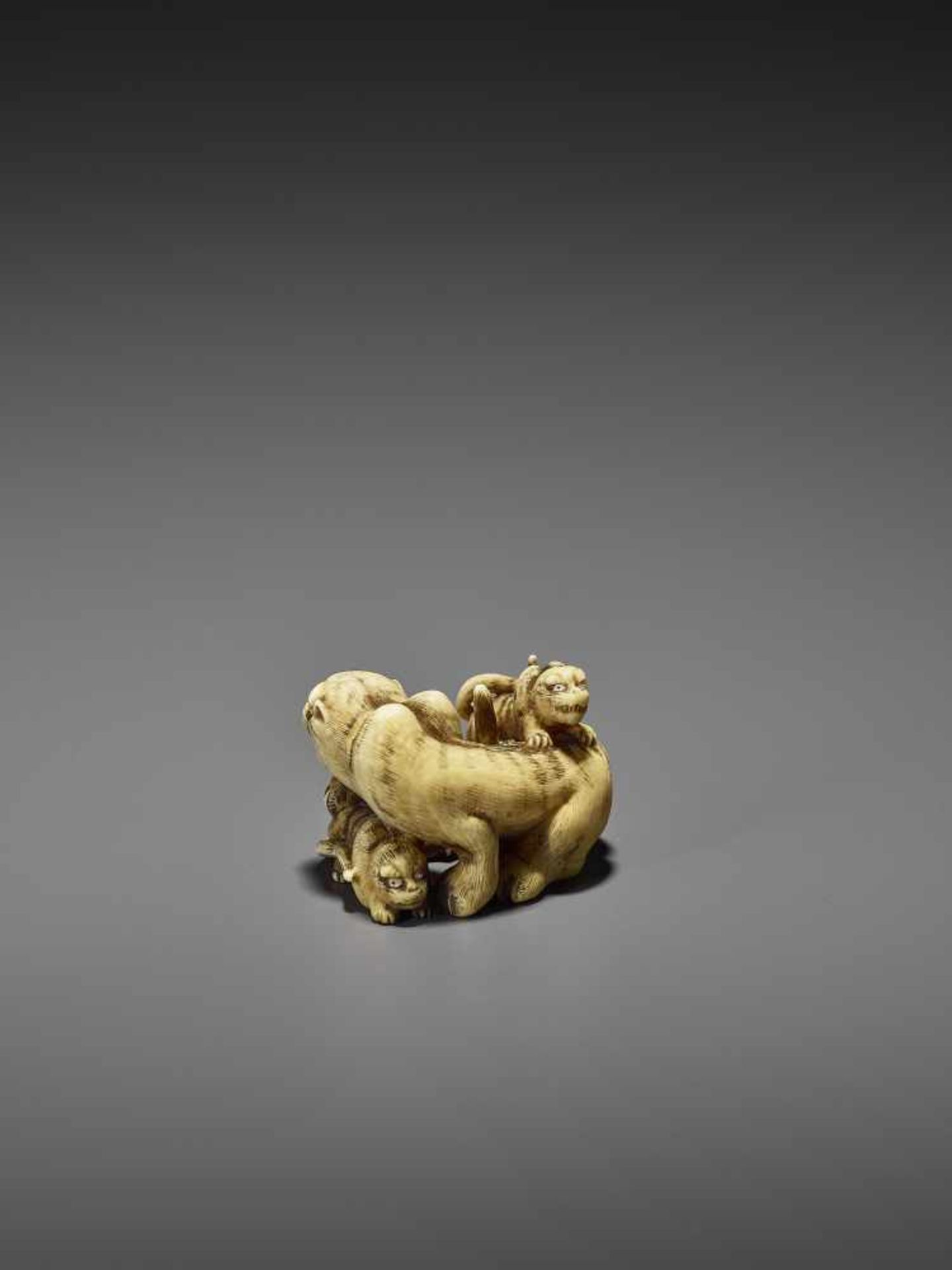 HAKURYU: AN EXCEPTIONAL IVORY NETSUKE OF A TIGER WITH TWO CUBS By Unsho Hakuryu II, signed - Image 5 of 12