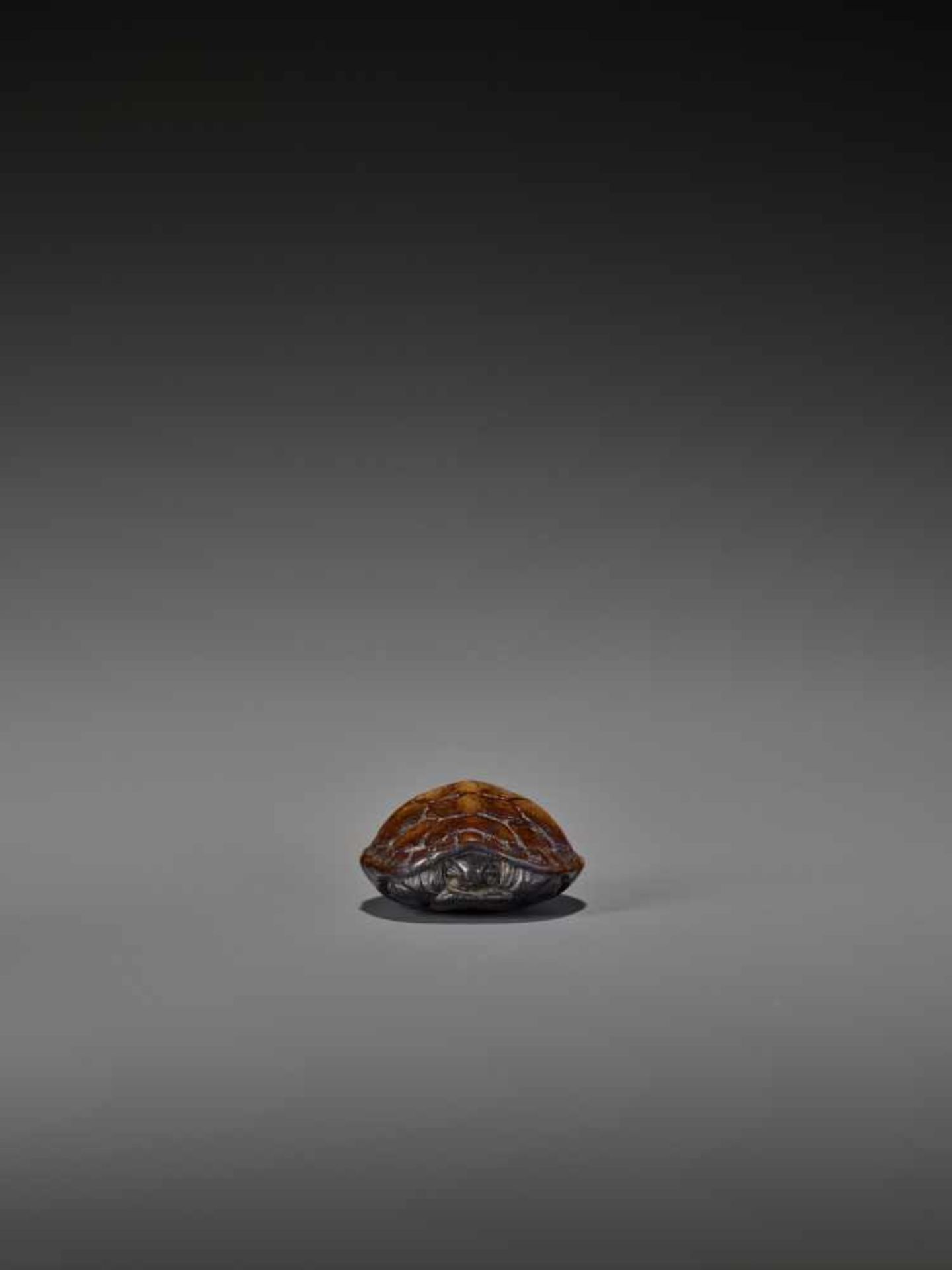 A WOOD NETSUKE OF A RETRACTED TORTOISE UnsignedJapan, 18th century, Edo period (1615-1868)This early - Image 2 of 10